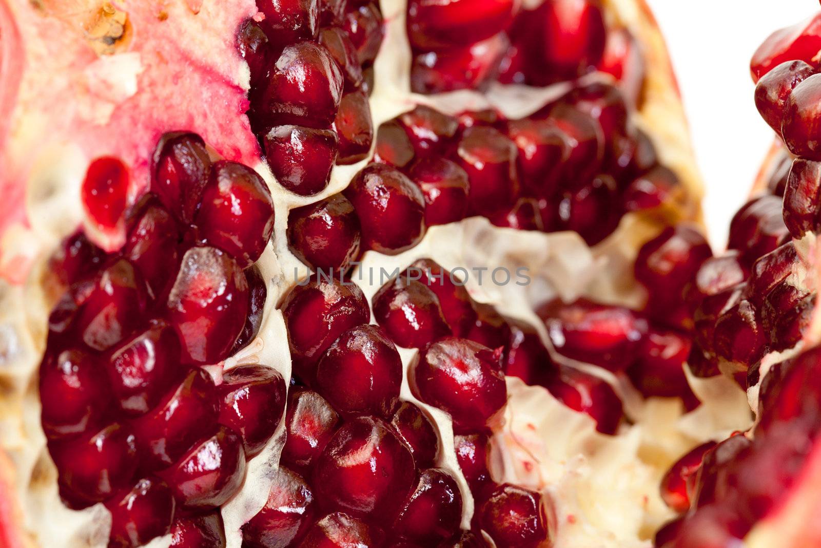 pomegranate seeds closeup by Discovod