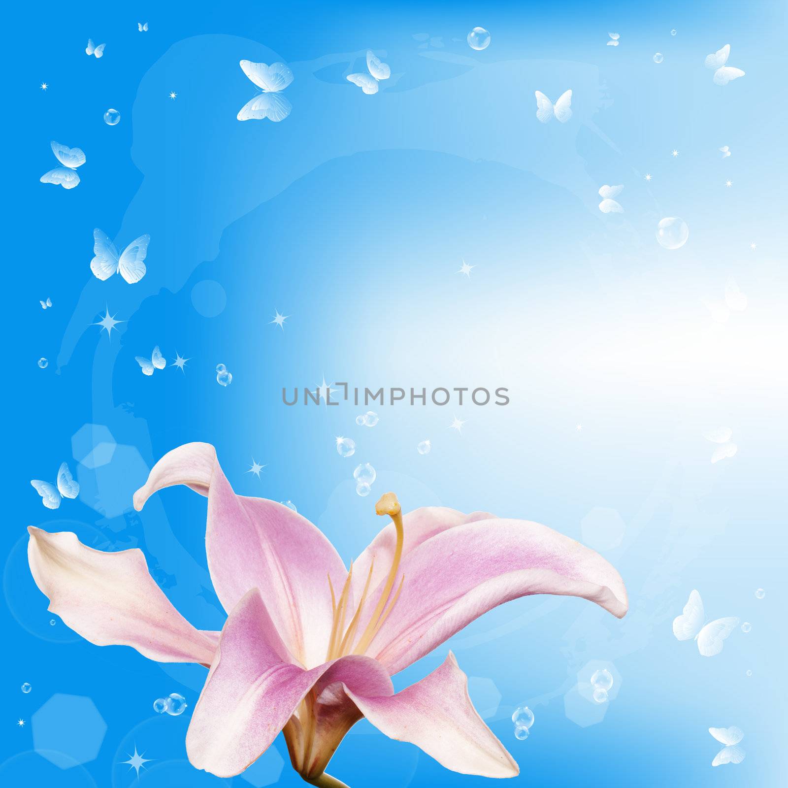 Flower background card.Spring by sergey150770SV