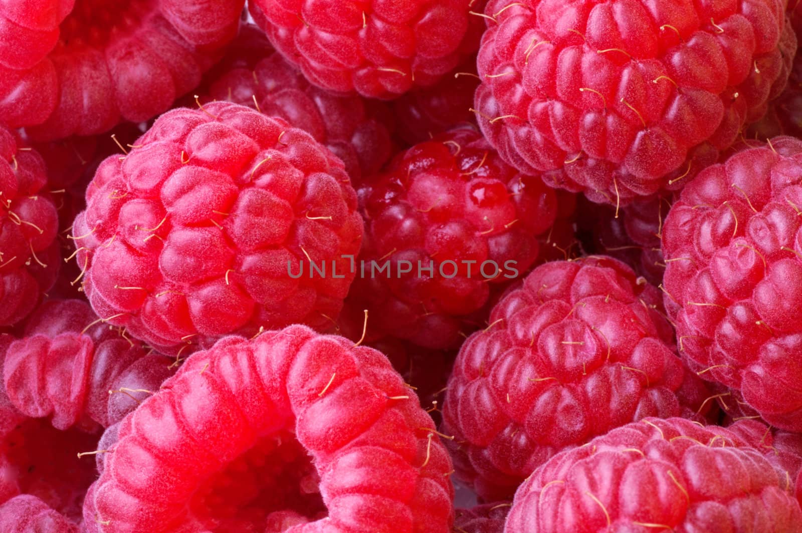 Raspberry texture background by Laborer