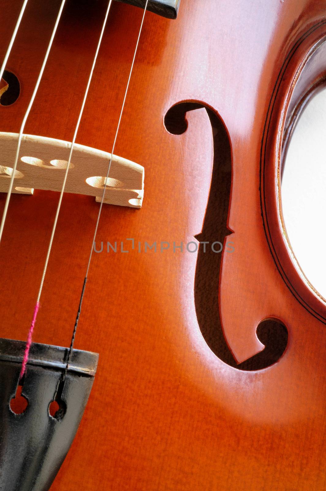 Musical instruments: violin closeup showing the bridge (15) by Laborer