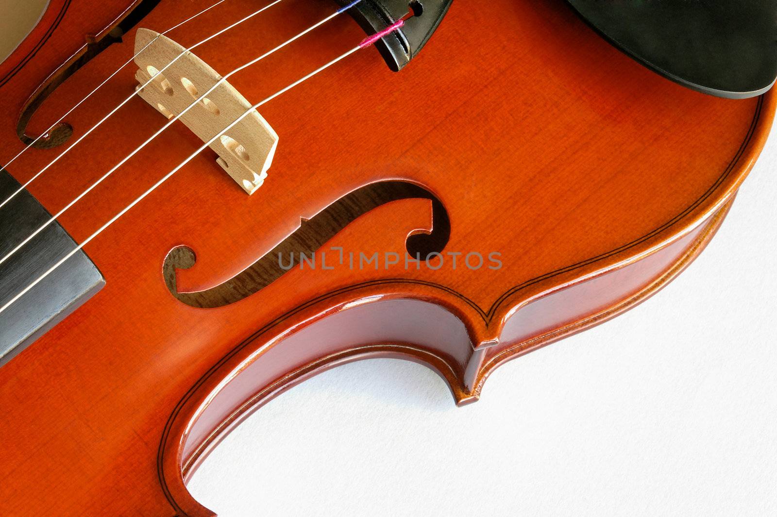 Musical instruments: violin closeup showing the bridge (11) by Laborer