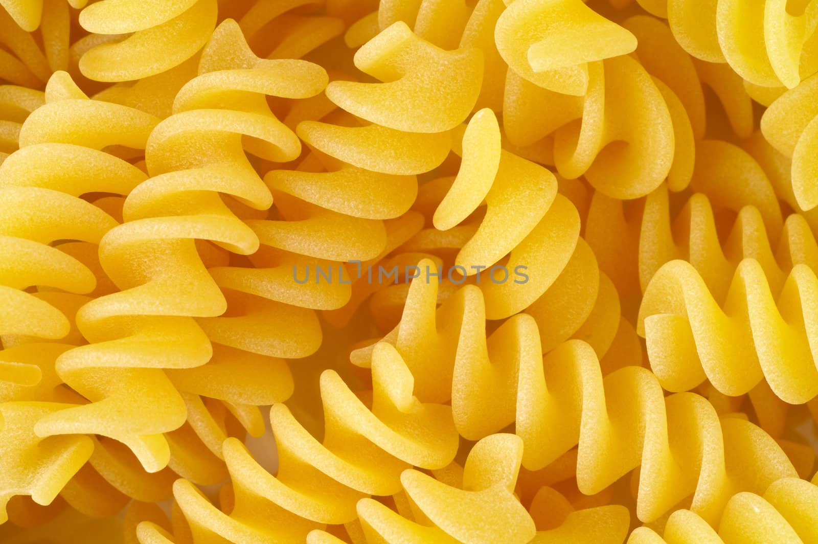 Raw pasta closeup