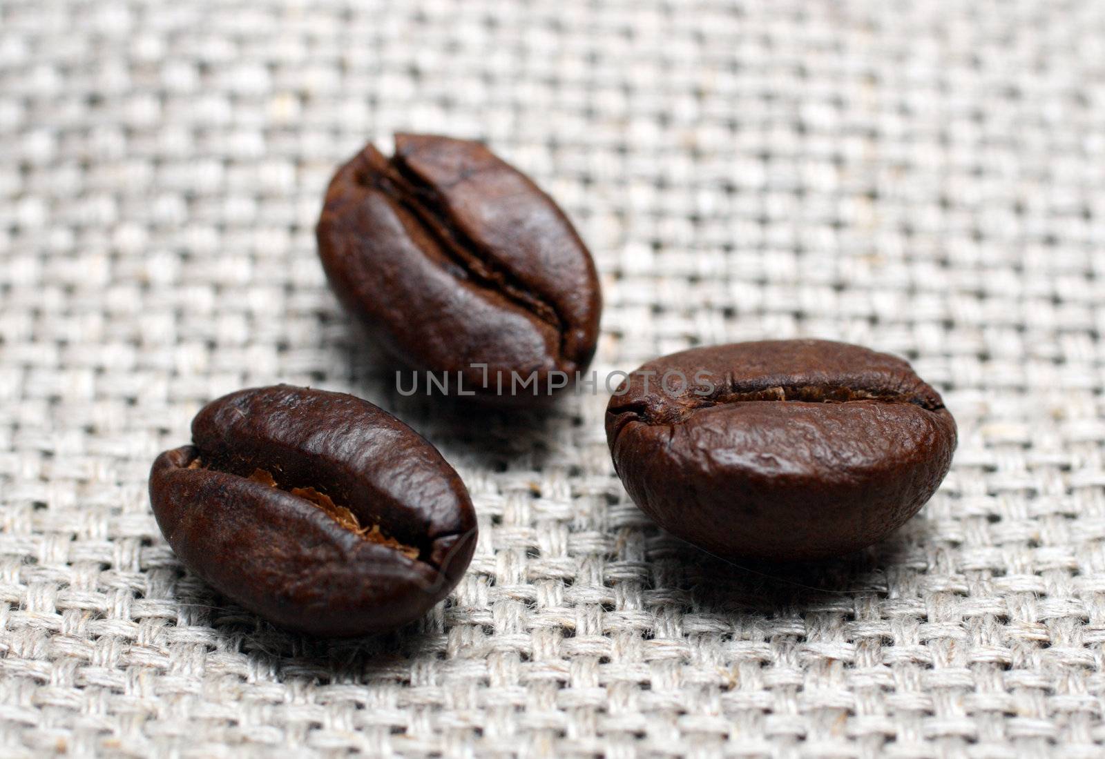 three coffee beans close-up on canvas background