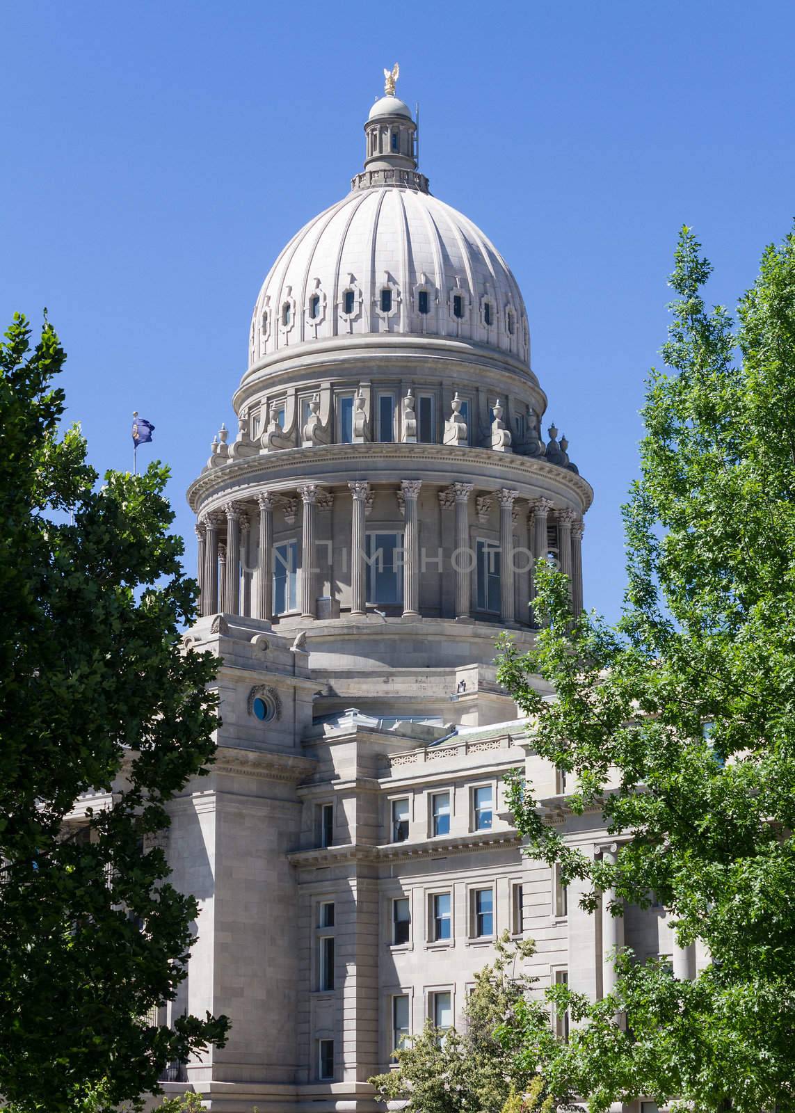 The capital building flanked by trees on either side
