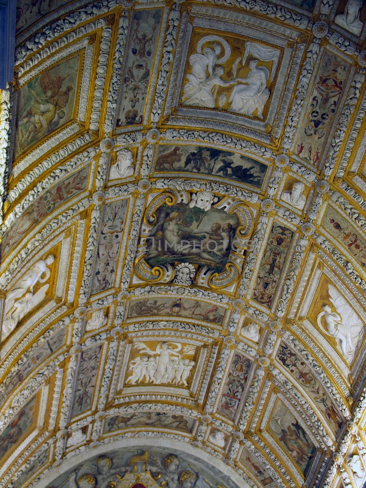 Picture of a decorated Ceilings in the Doge's Palace - Venice