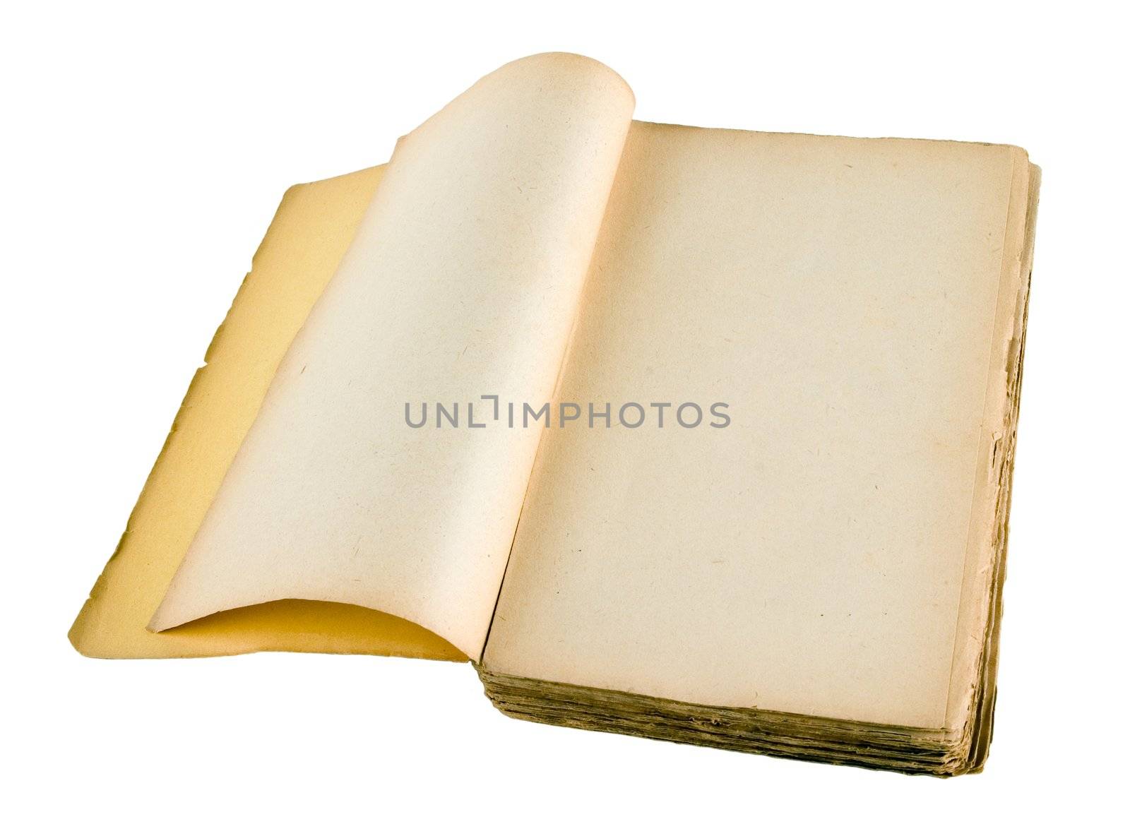 The ancient book on a light background