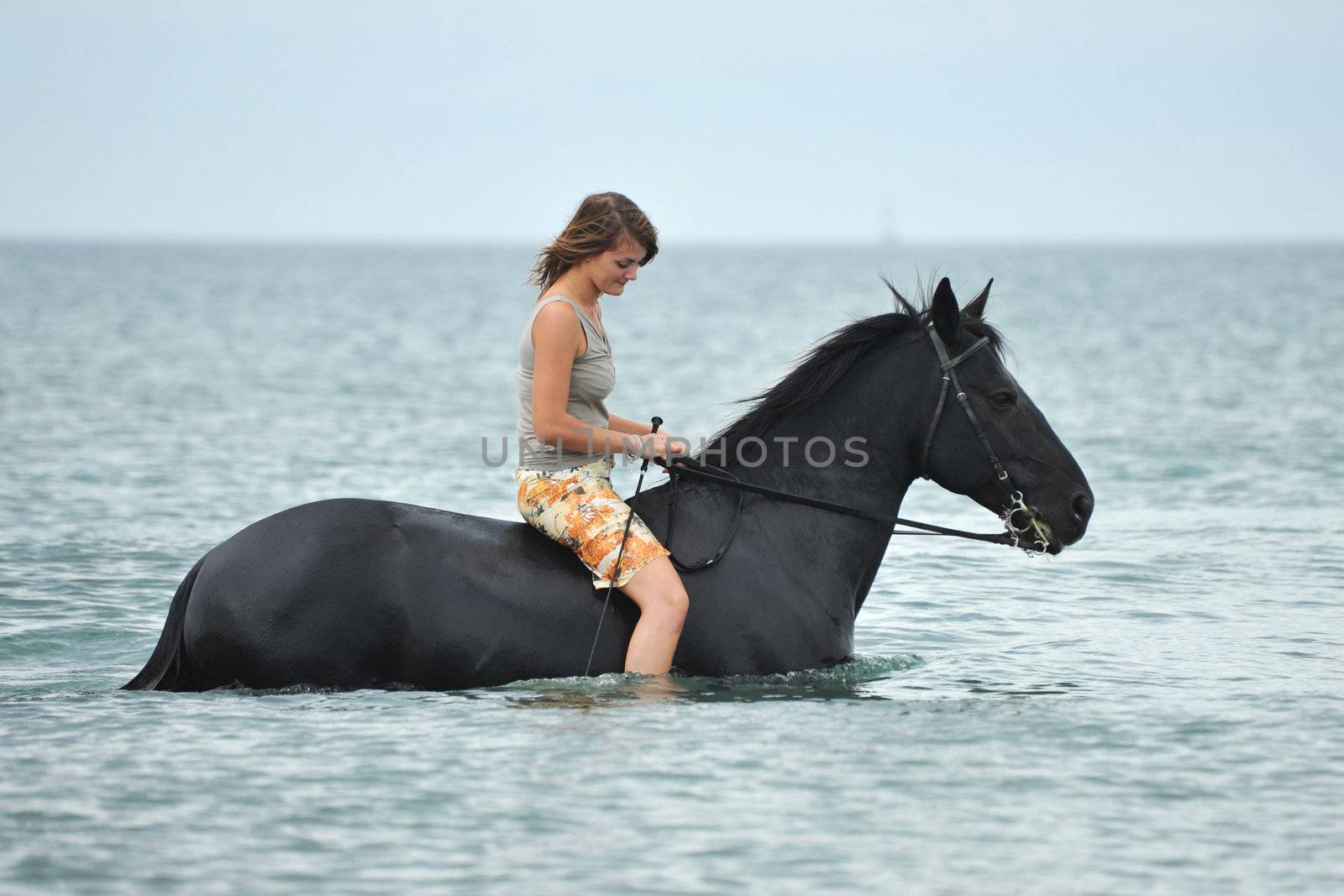 beautiful black  horse in the sea and beautiful woman