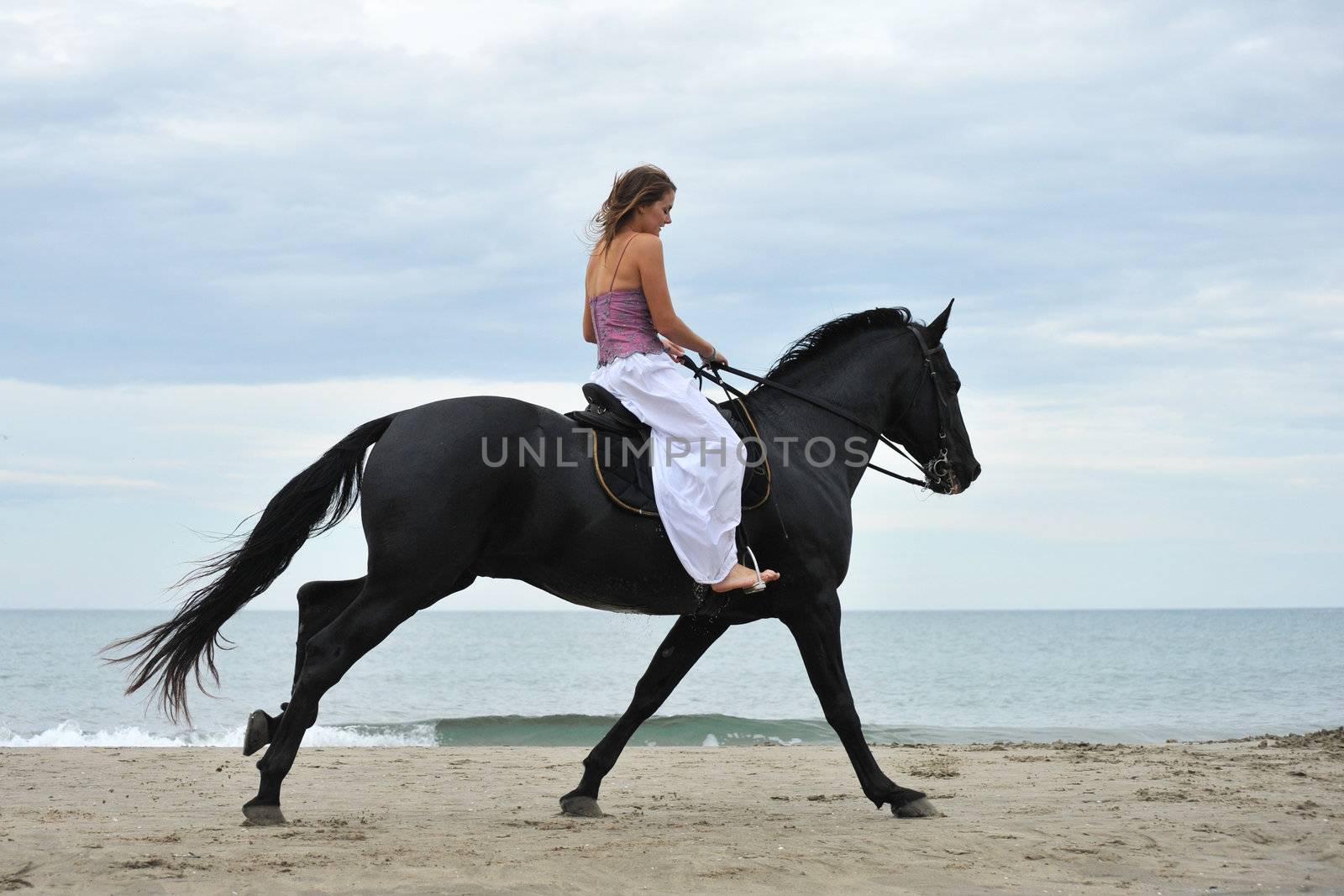 beautiful black  horse on the beach and beautiful woman