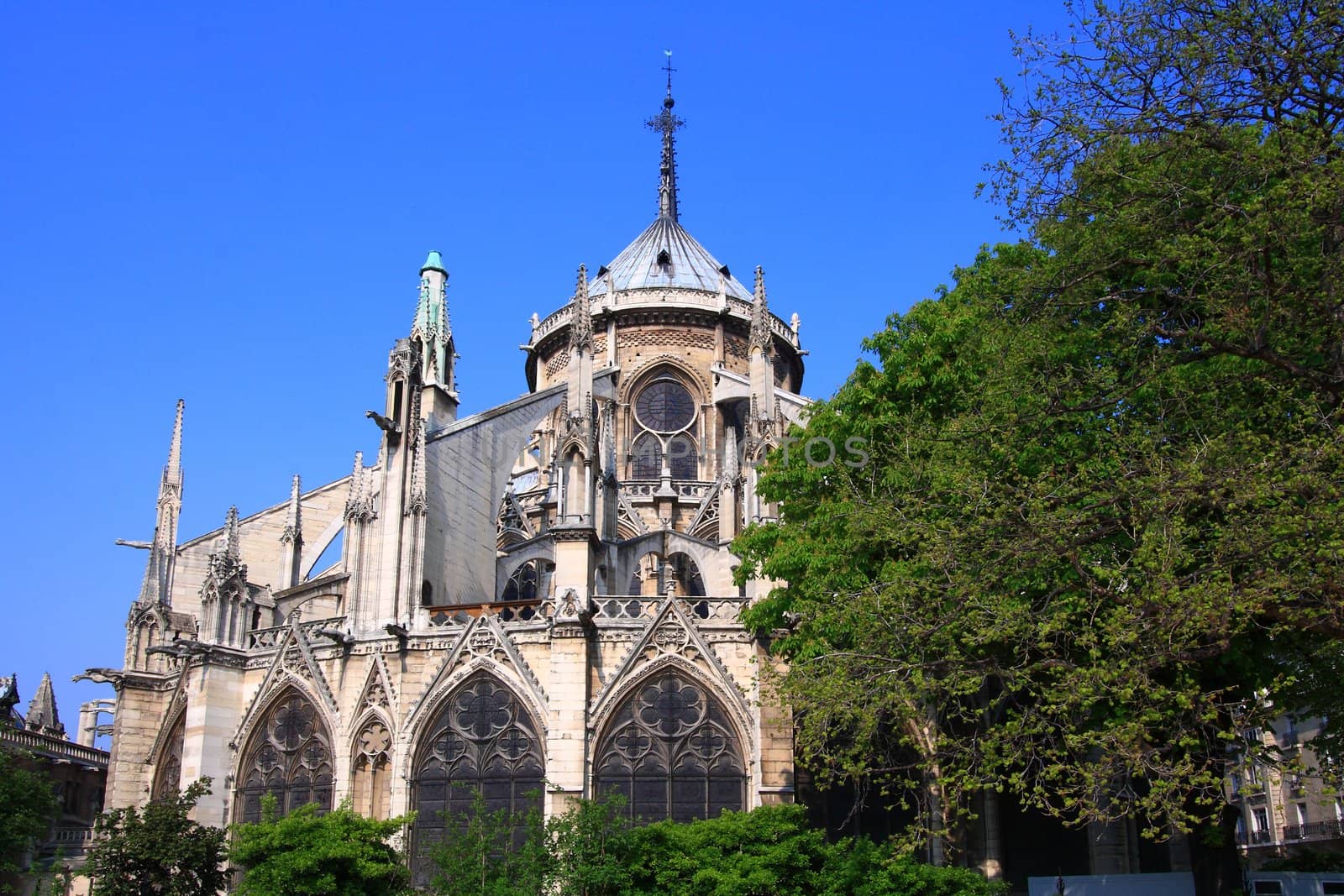 Colseup of Cathedral Notre Dame, Reims, Champagne, Paris France