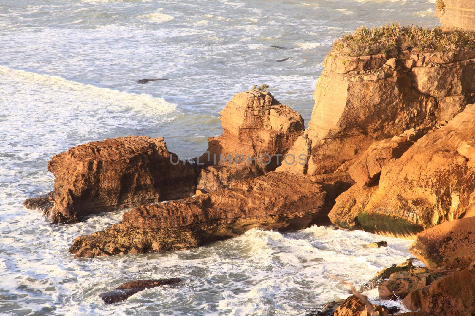 coastal line canyon at west coast of New Zealand