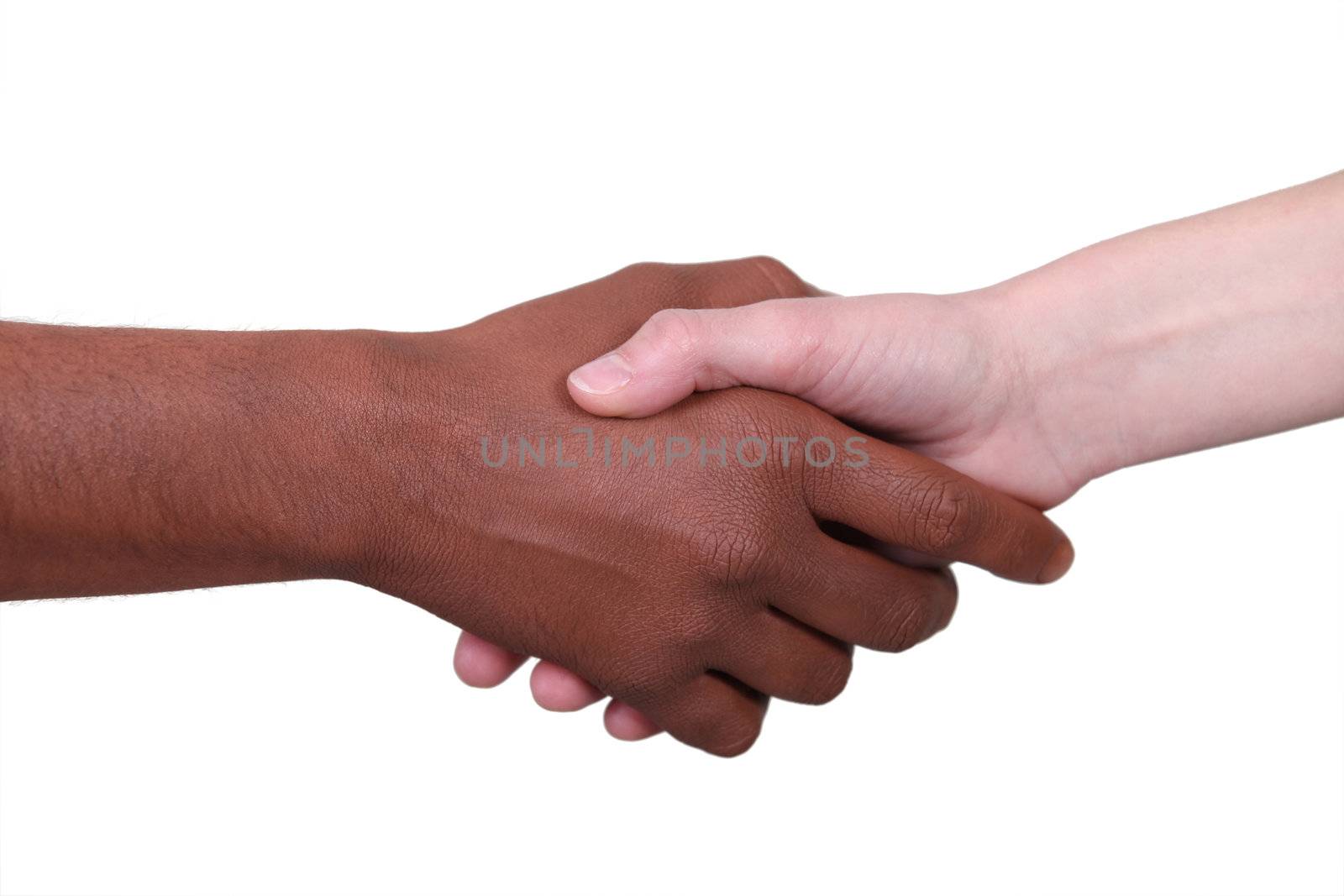 Metis person and white person shaking hands by phovoir