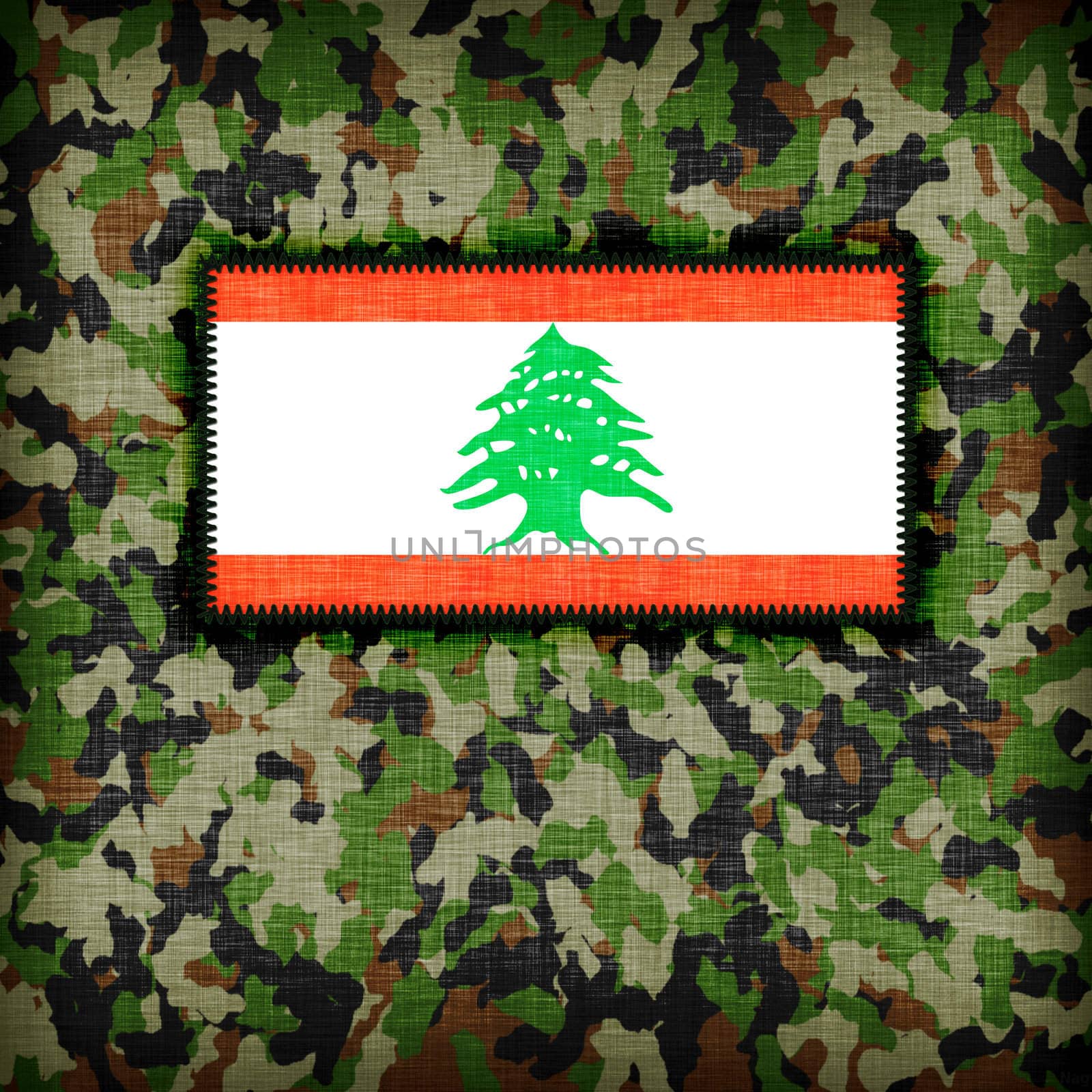 Amy camouflage uniform, Lebanon by michaklootwijk