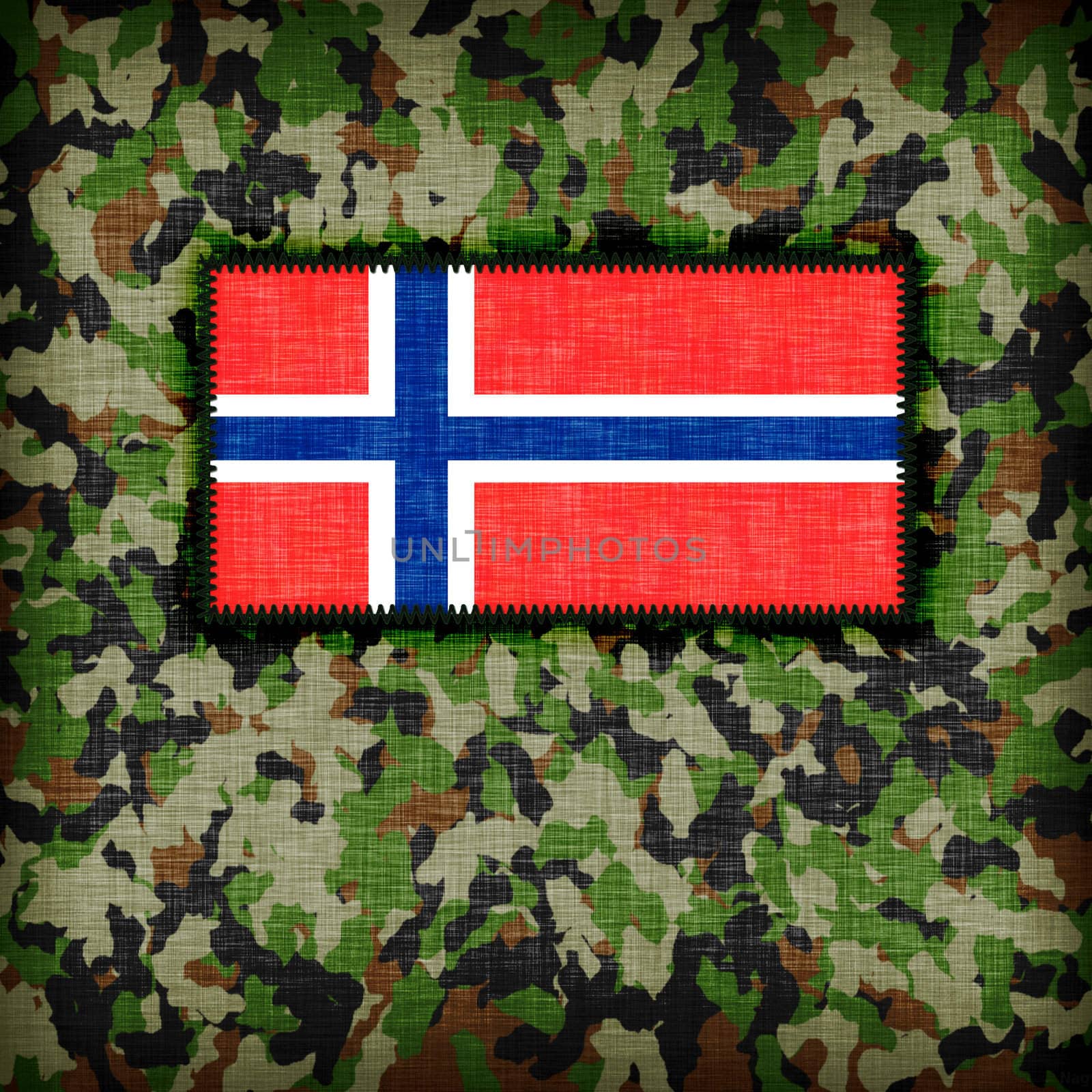 Amy camouflage uniform, Norway by michaklootwijk