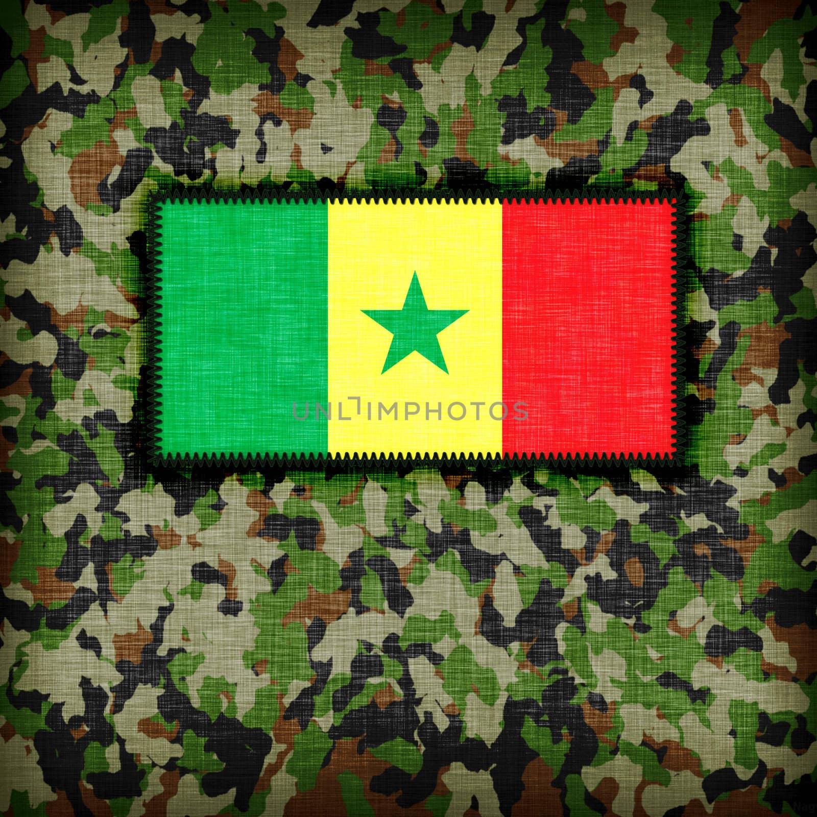 Amy camouflage uniform, Senegal by michaklootwijk