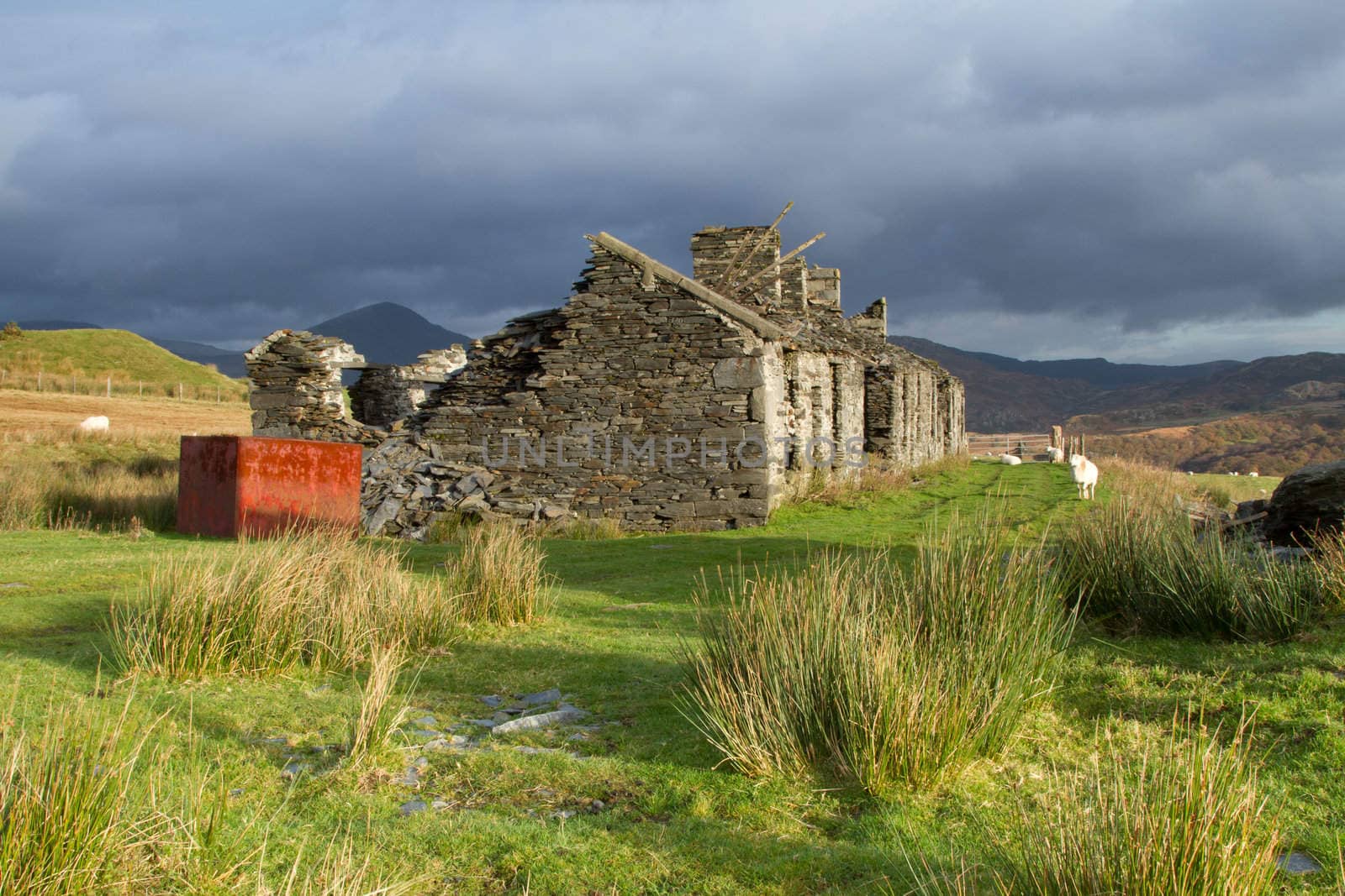 Abandonned quarry cottages, run down and derelict with an old rusty water tank, sheep roaming on green grass and dark mountains under a grey cloudy sky in the distance.