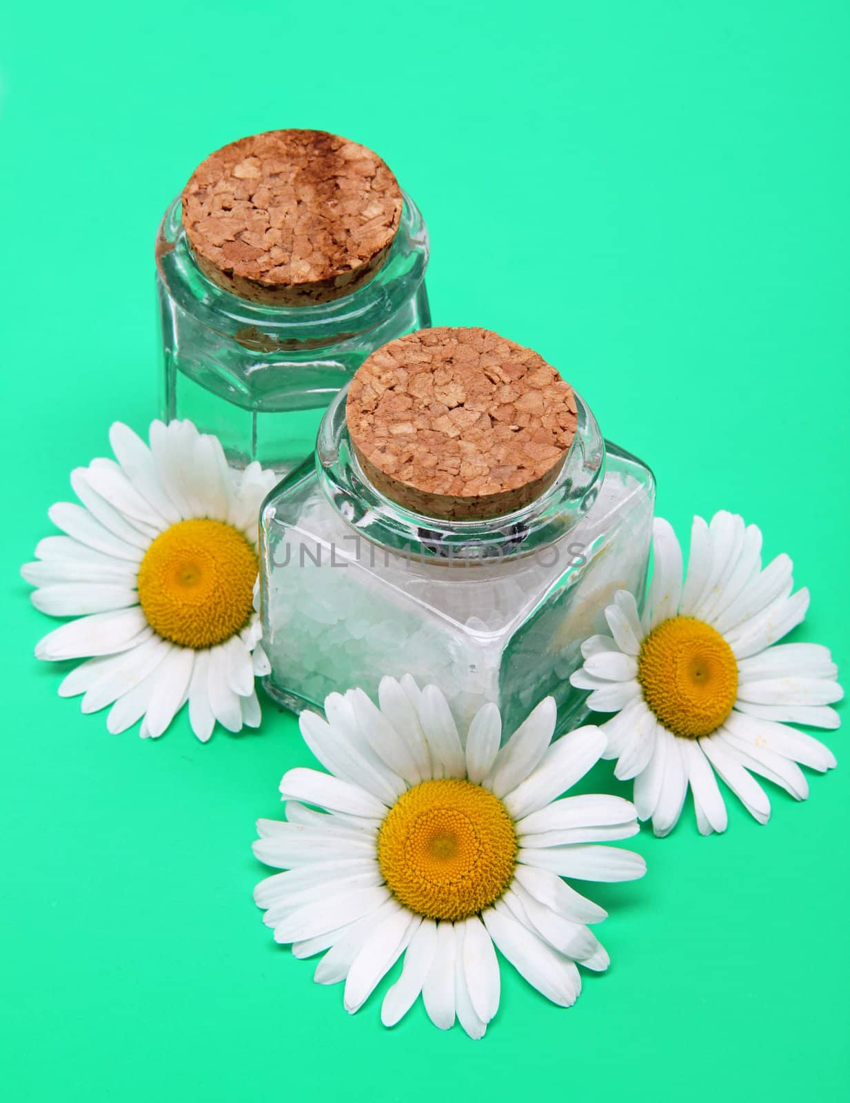 Bottles of essential oil and sea salt with white camomiles on the green background in spa composition 