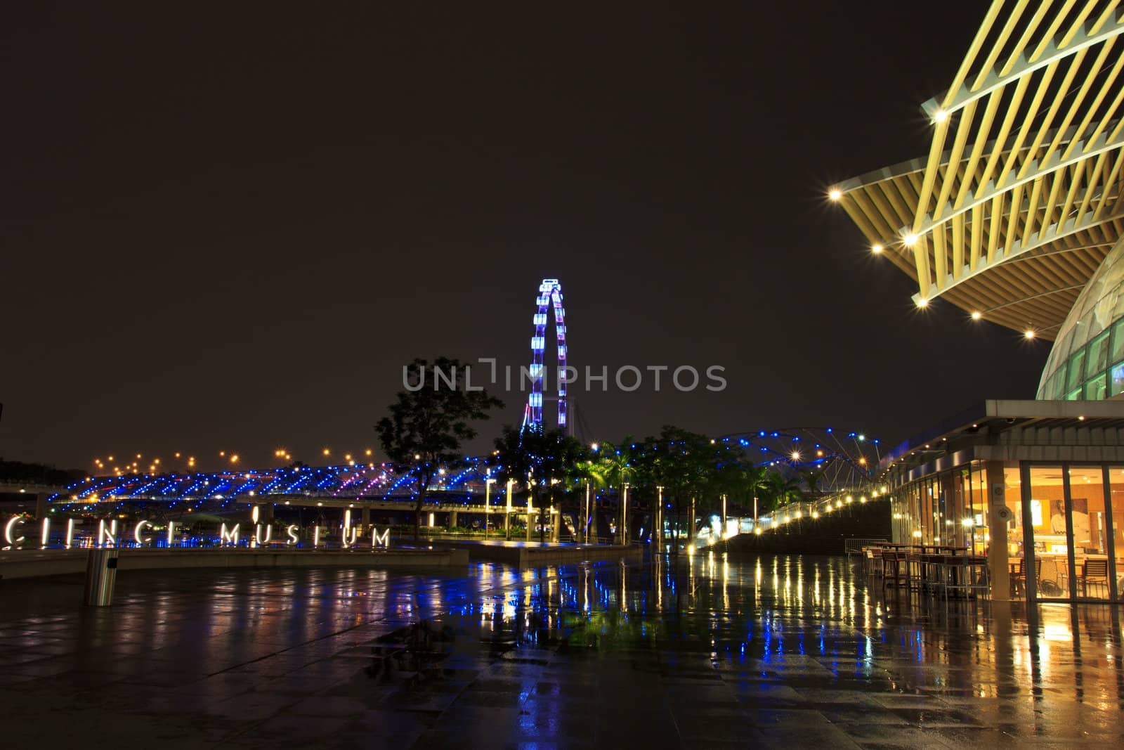 singapore flyer that biggest in the world