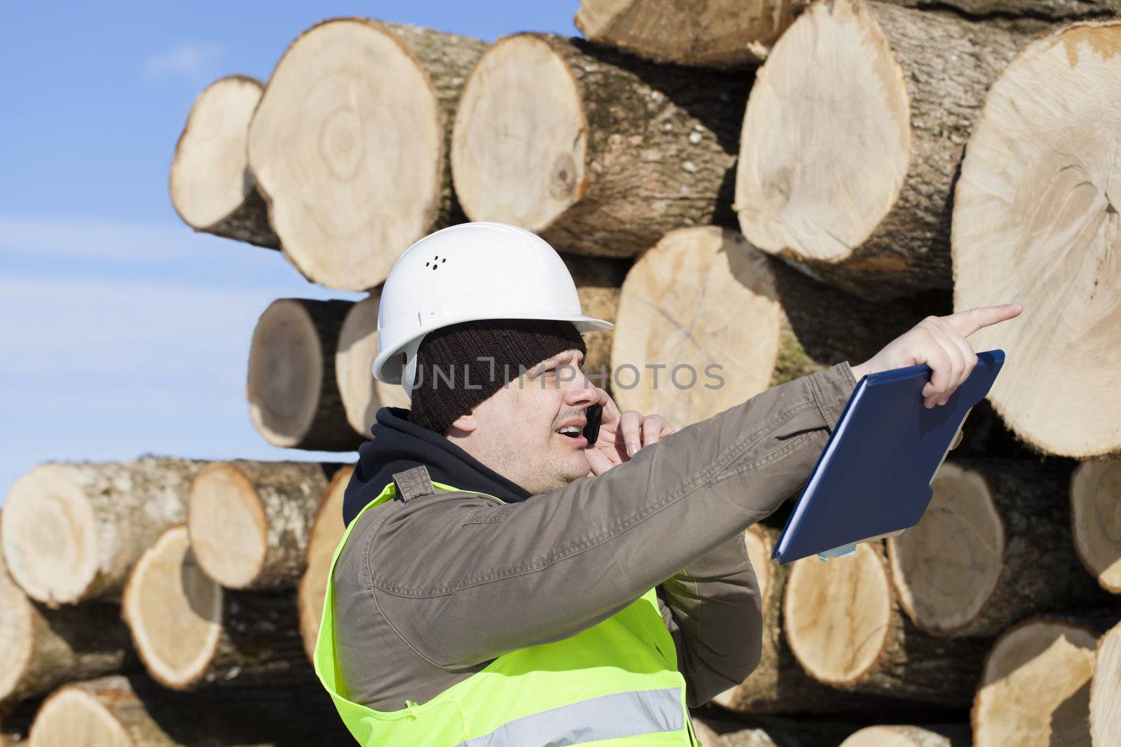 Lumberjack  talking on the cell phone near at the log pile