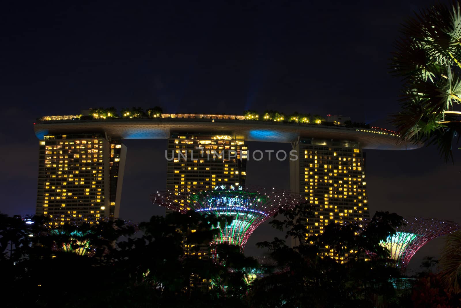 garden by the bay , the most beautiful garden in singapore