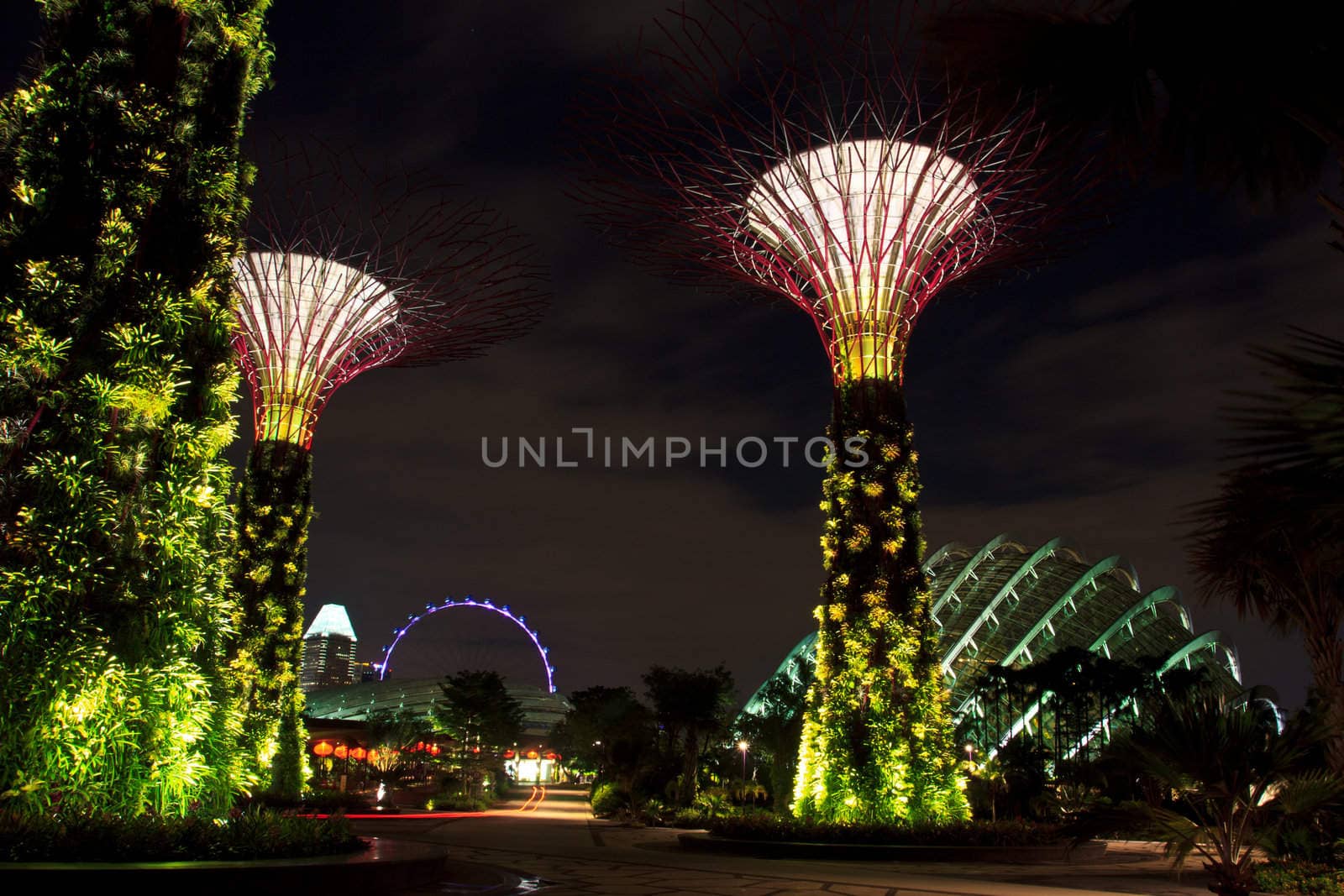 garden by the bay , the most beautiful garden in singapore