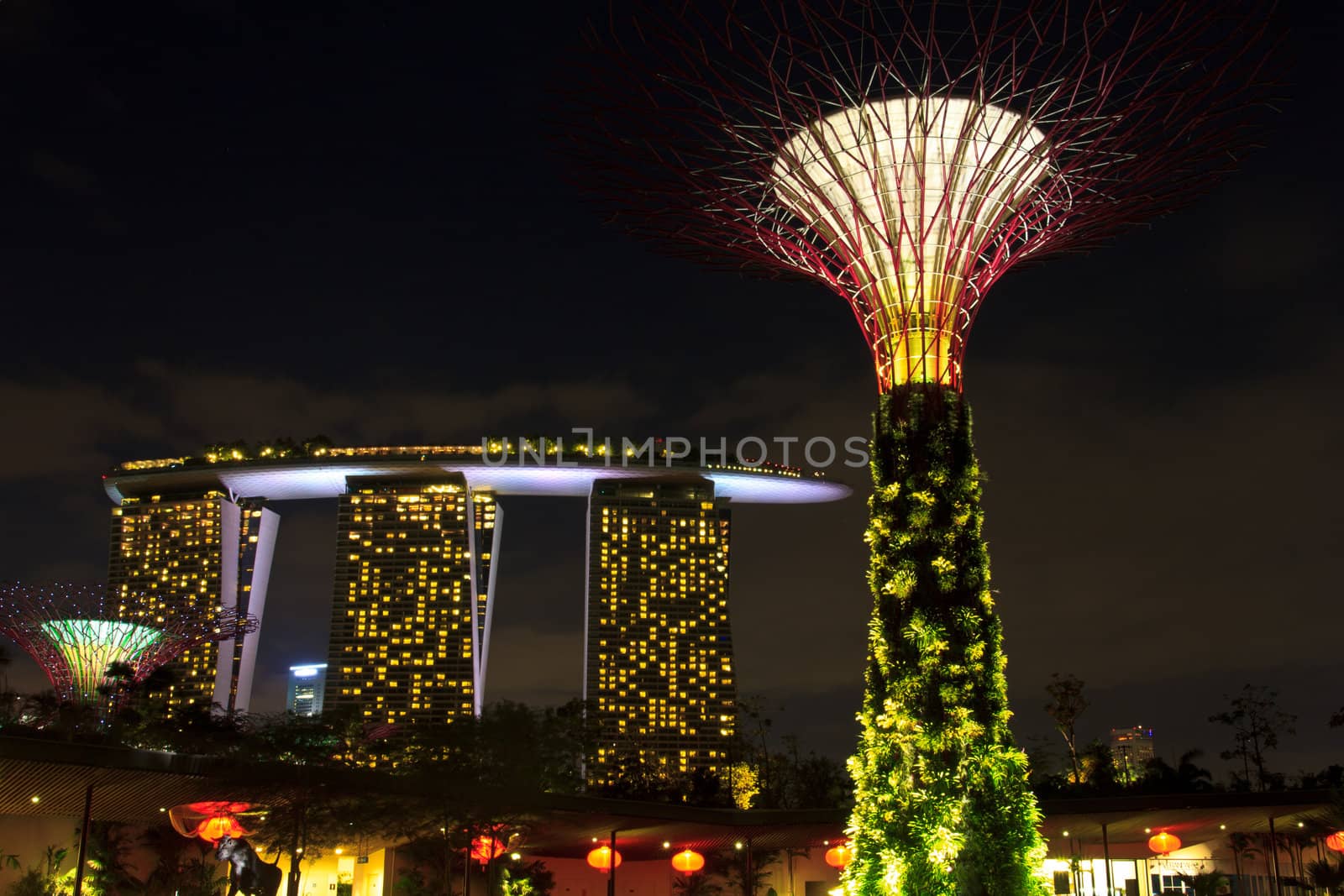 garden by the bay , the most beautiful garden in singapore