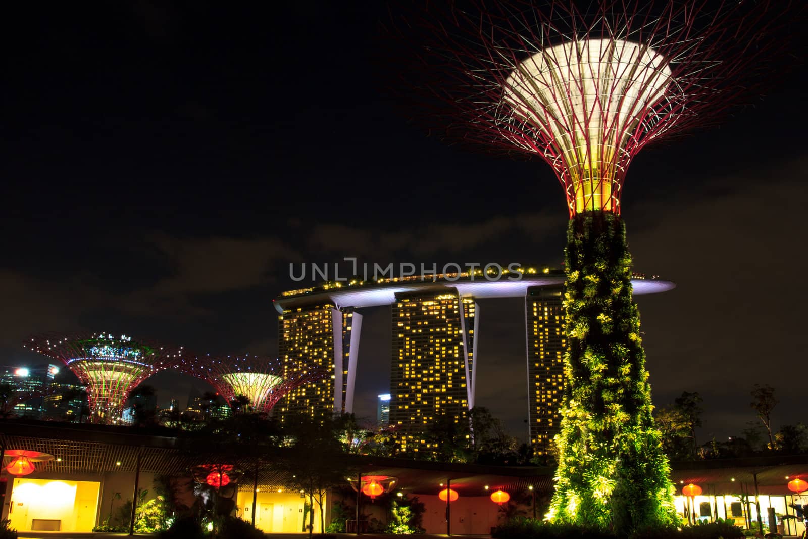 garden by the bay , the most beautiful garden in singapore