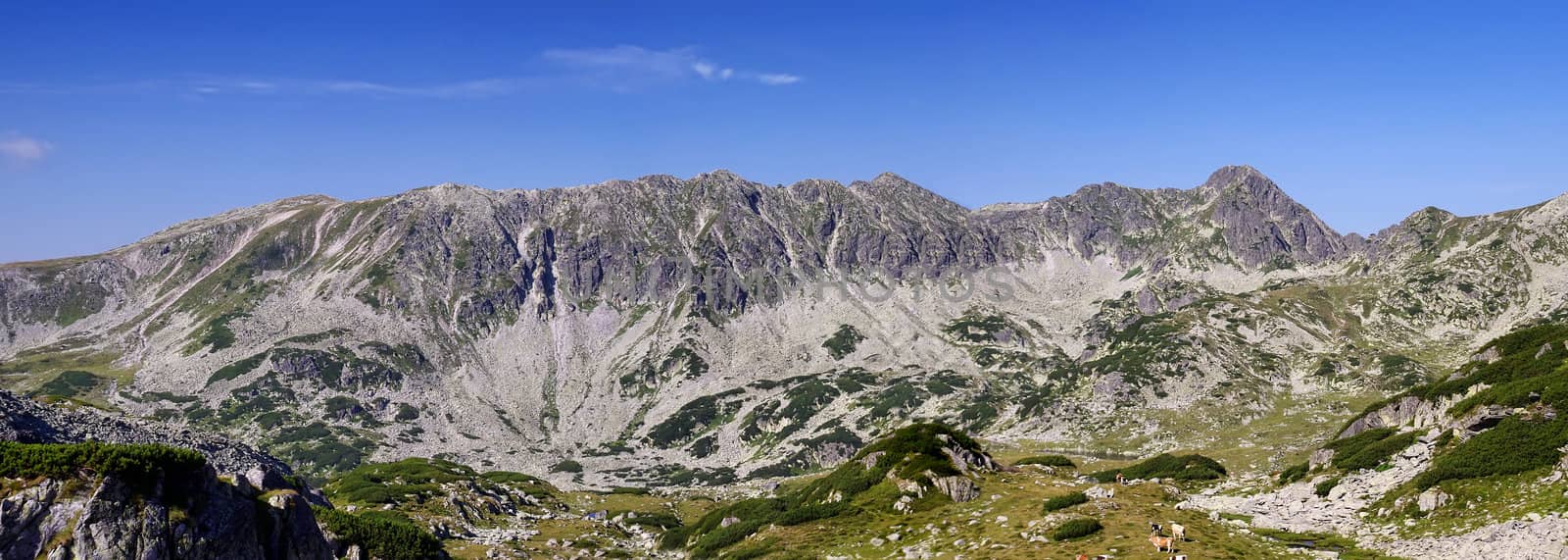 panoramic landscape in Retezat Mountains, Romania