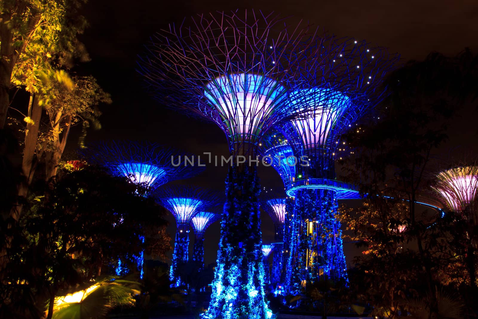 garden by the bay , the most beautiful garden in singapore