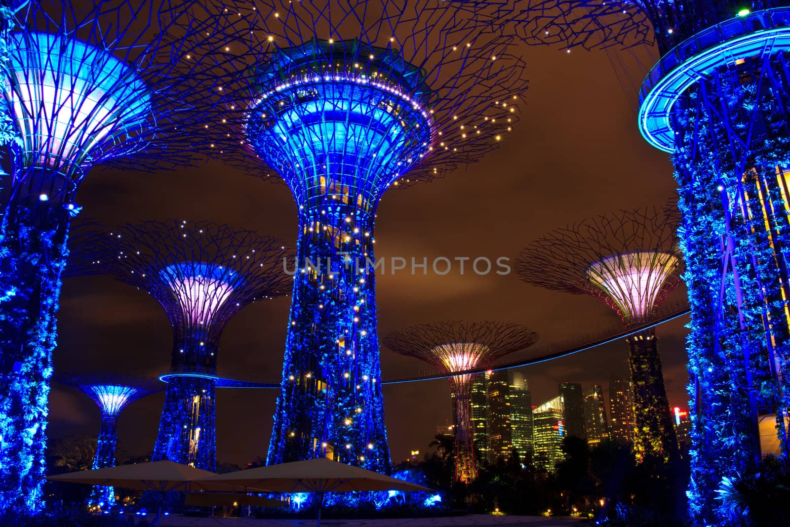 garden by the bay , the most beautiful garden in singapore