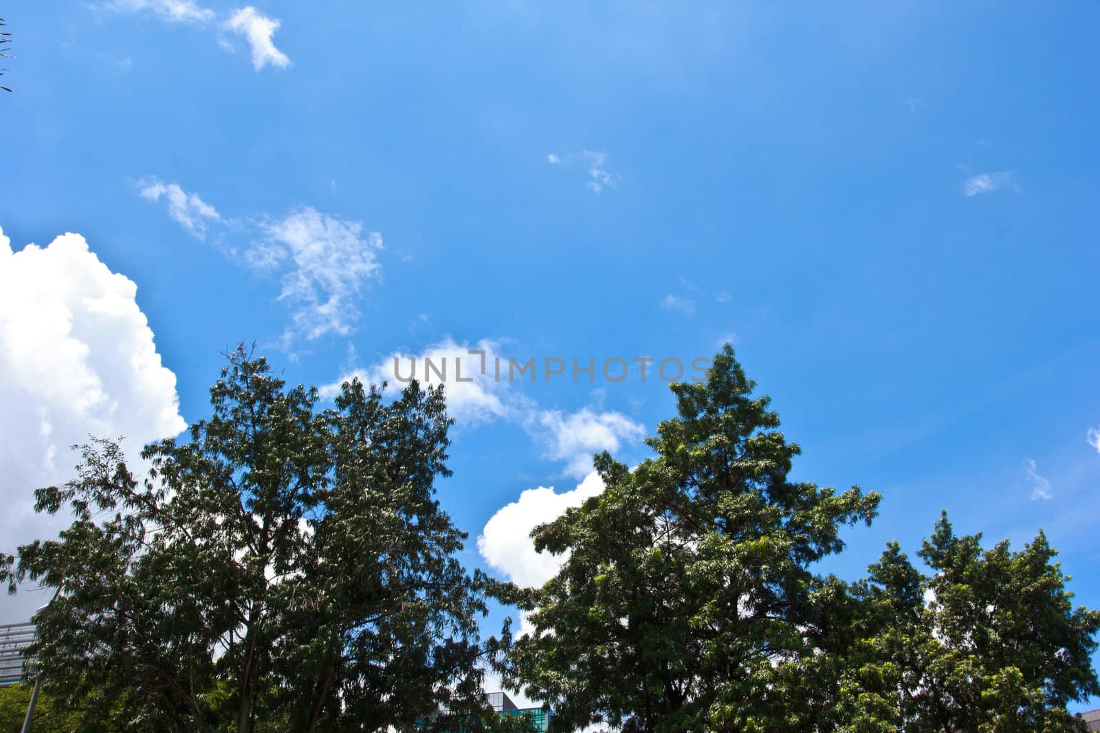 blue sky view in front of building