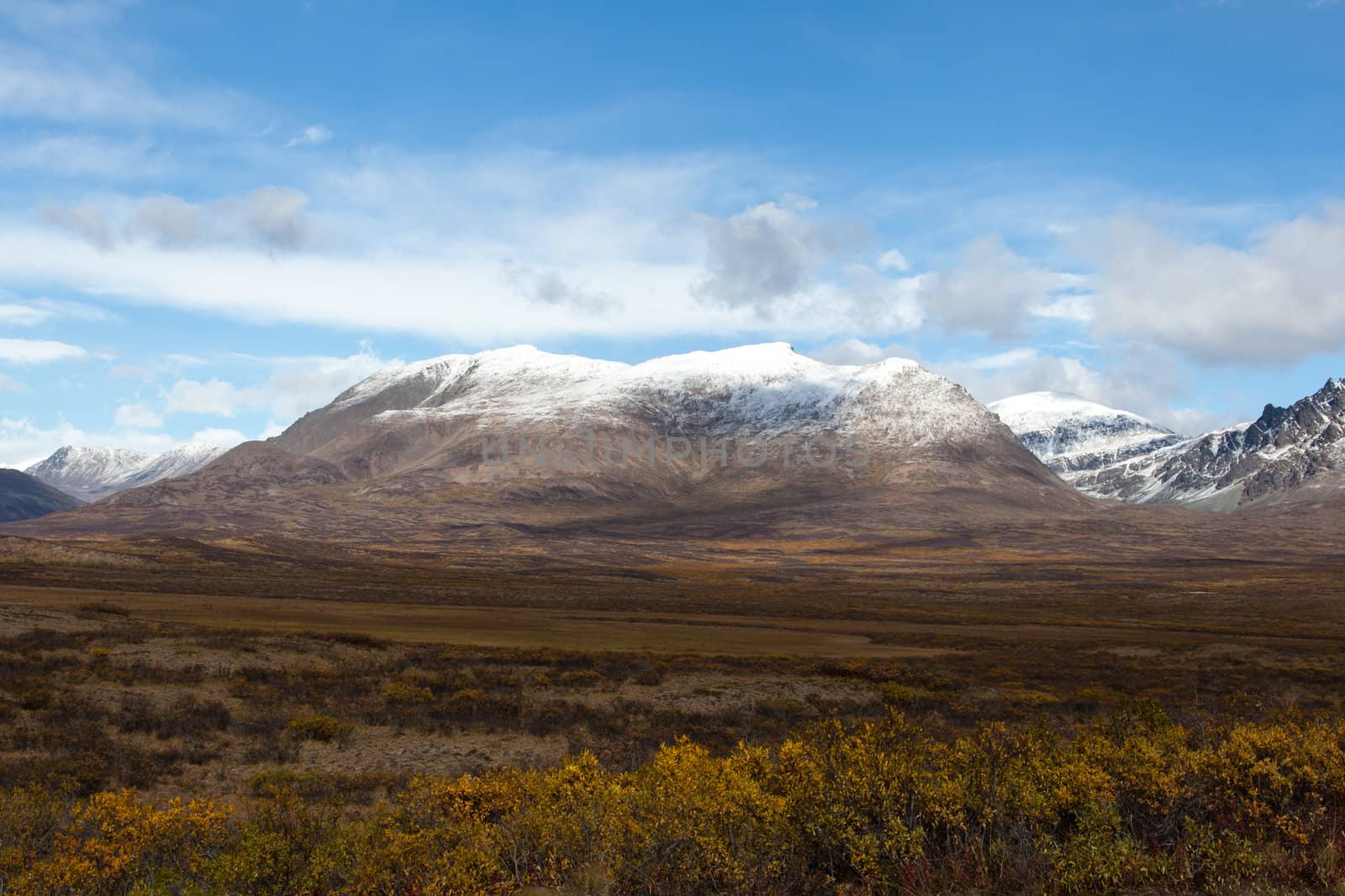 Tundra in Fall by studio49