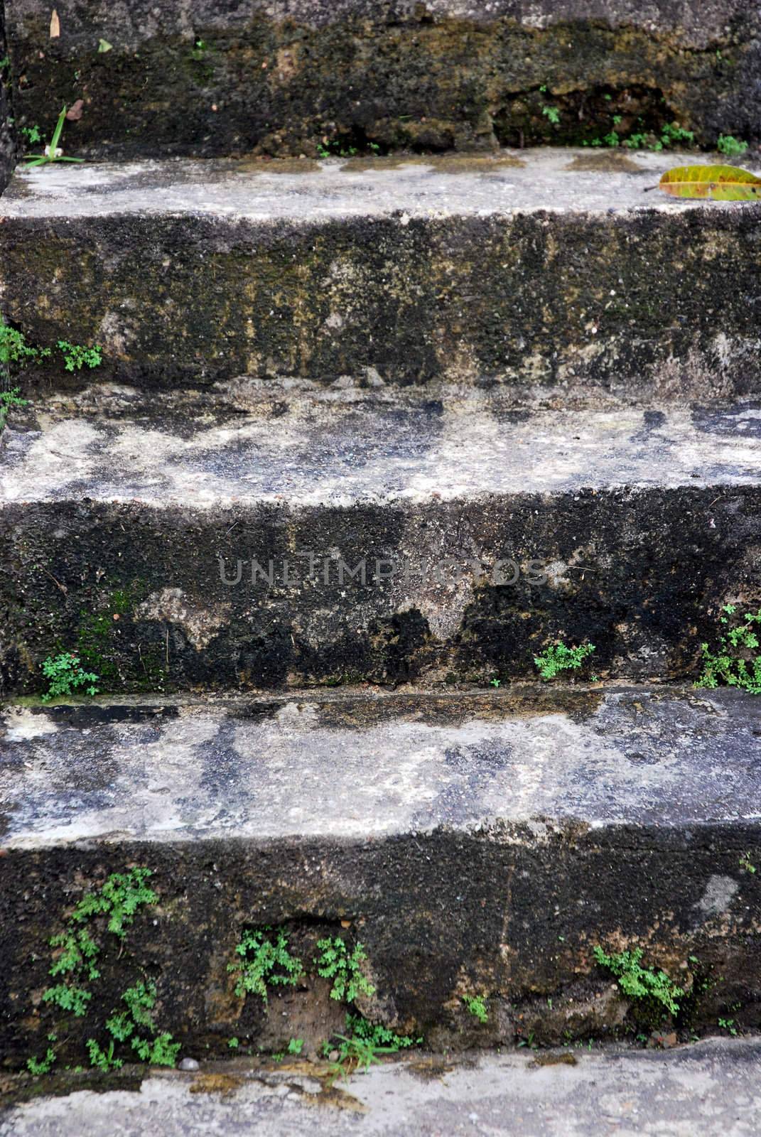 mossy concrete stairs