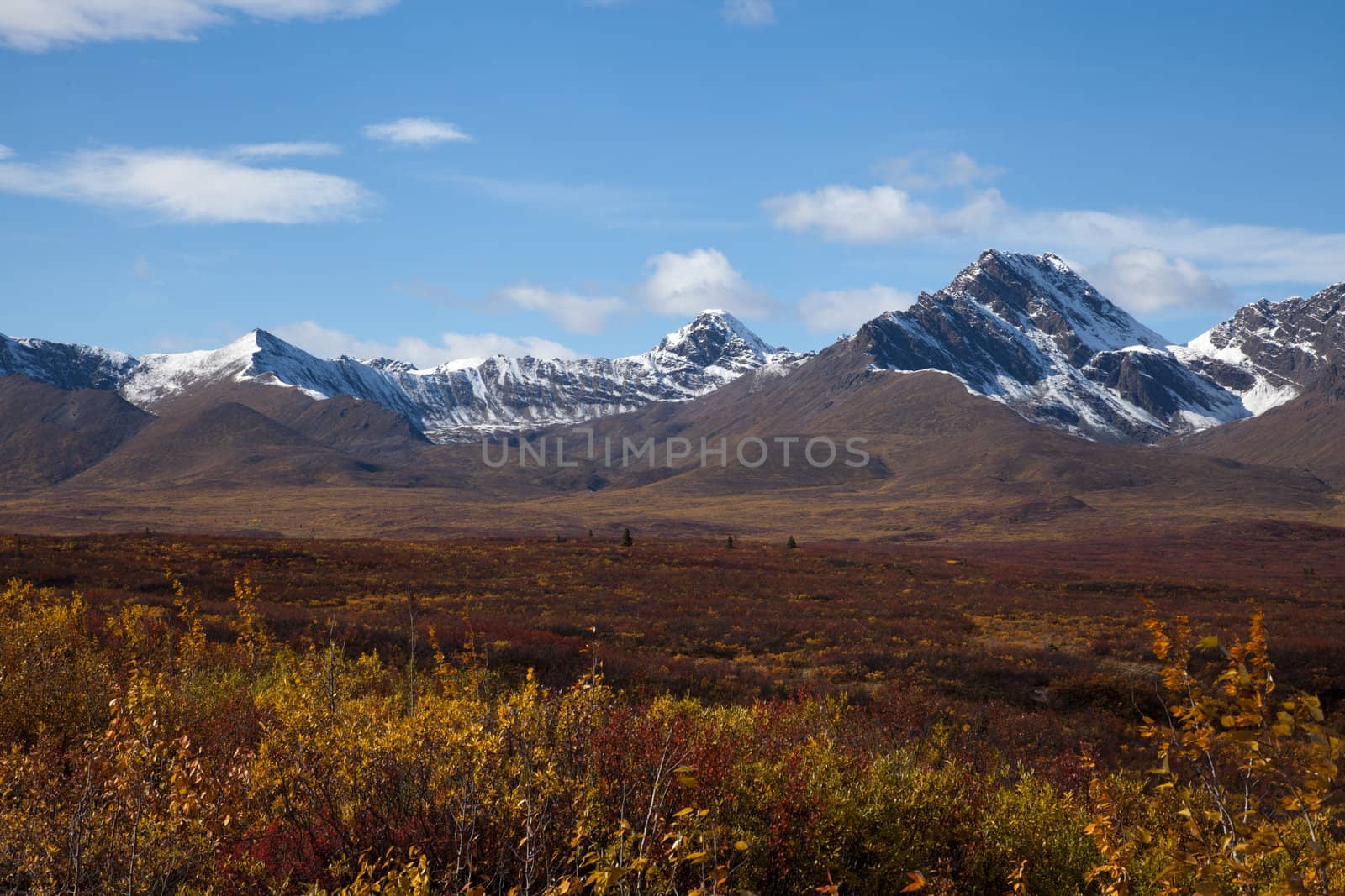 Wilderness of Alaska tundra in late fall with snow on mountains