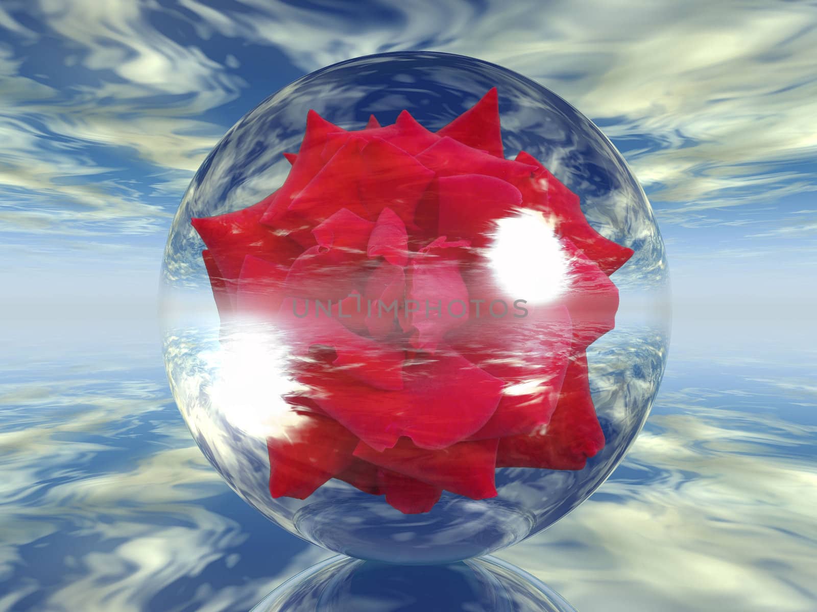 rose in a bubble