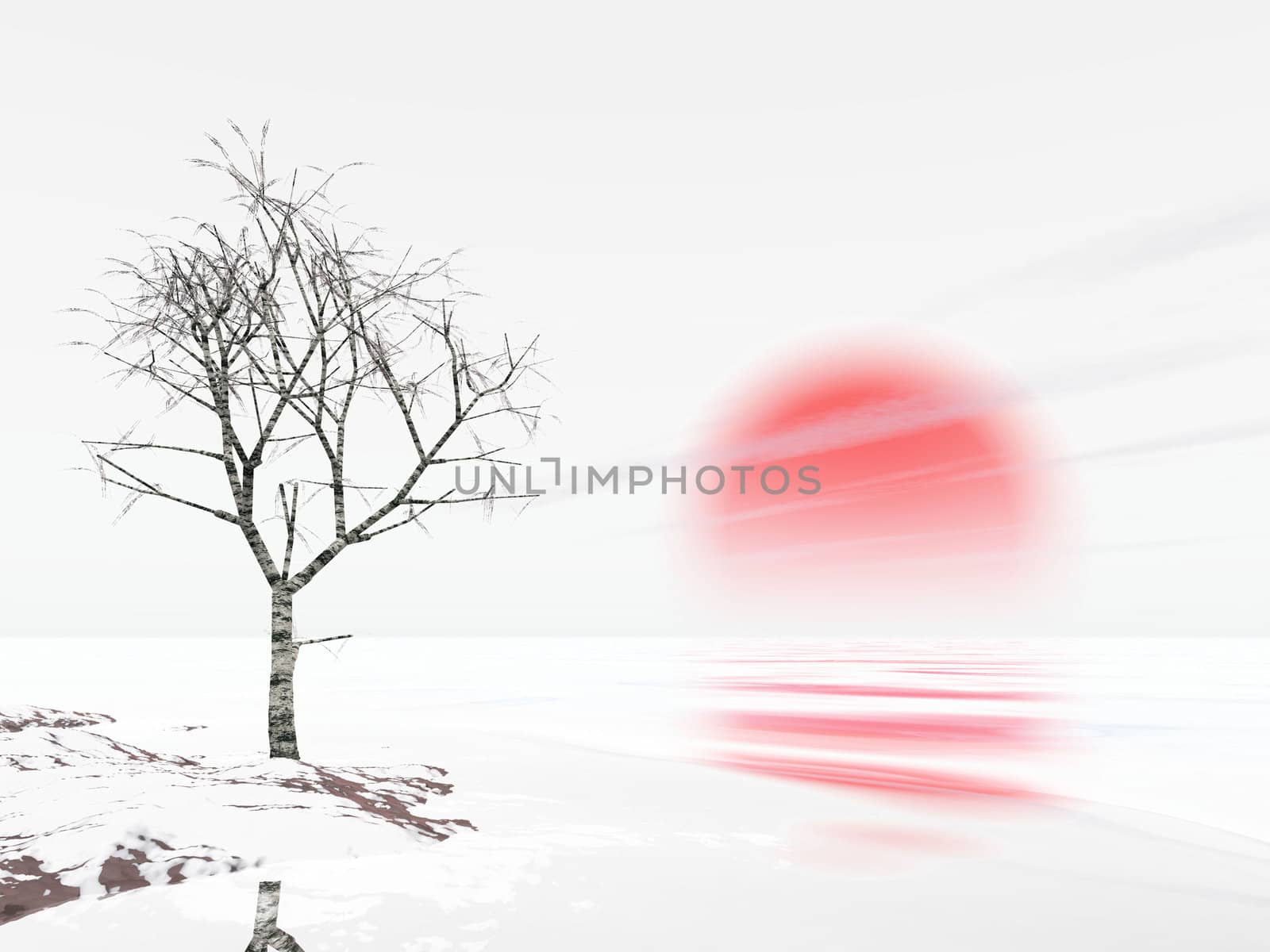 tree and sun