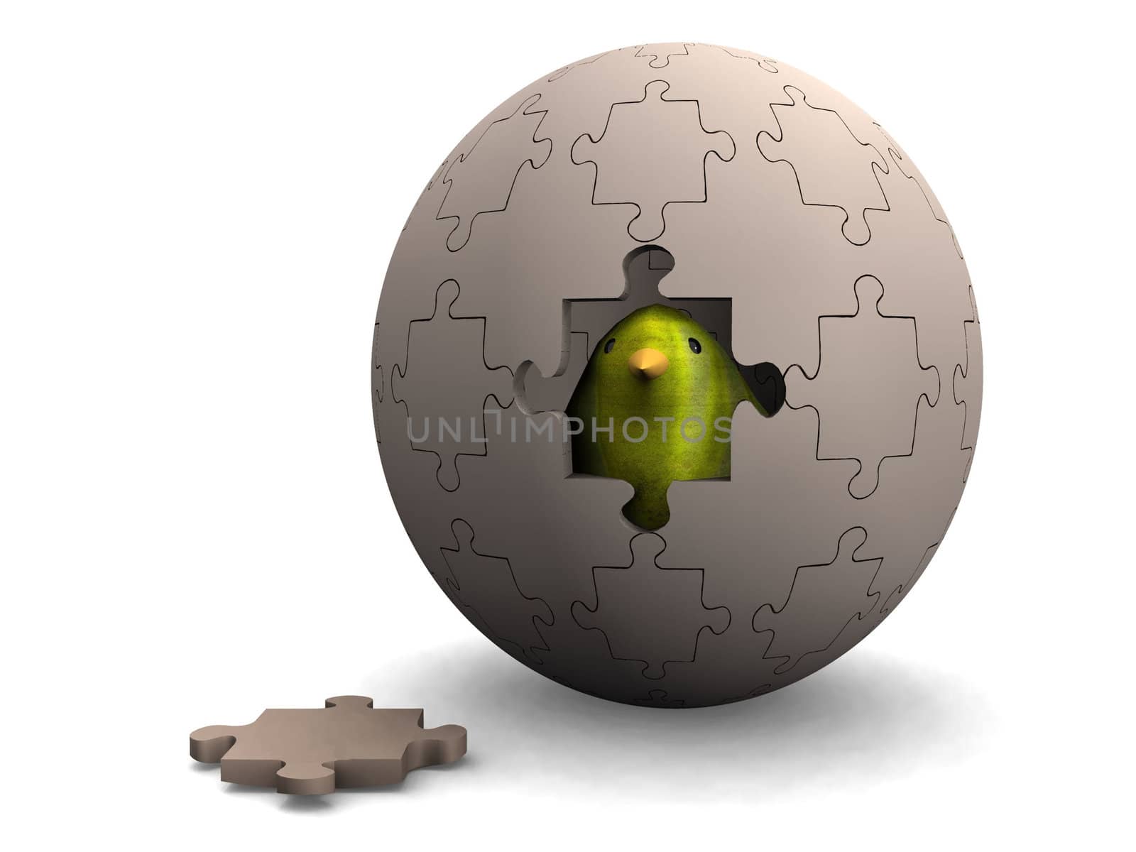 egg puzzle and chicken