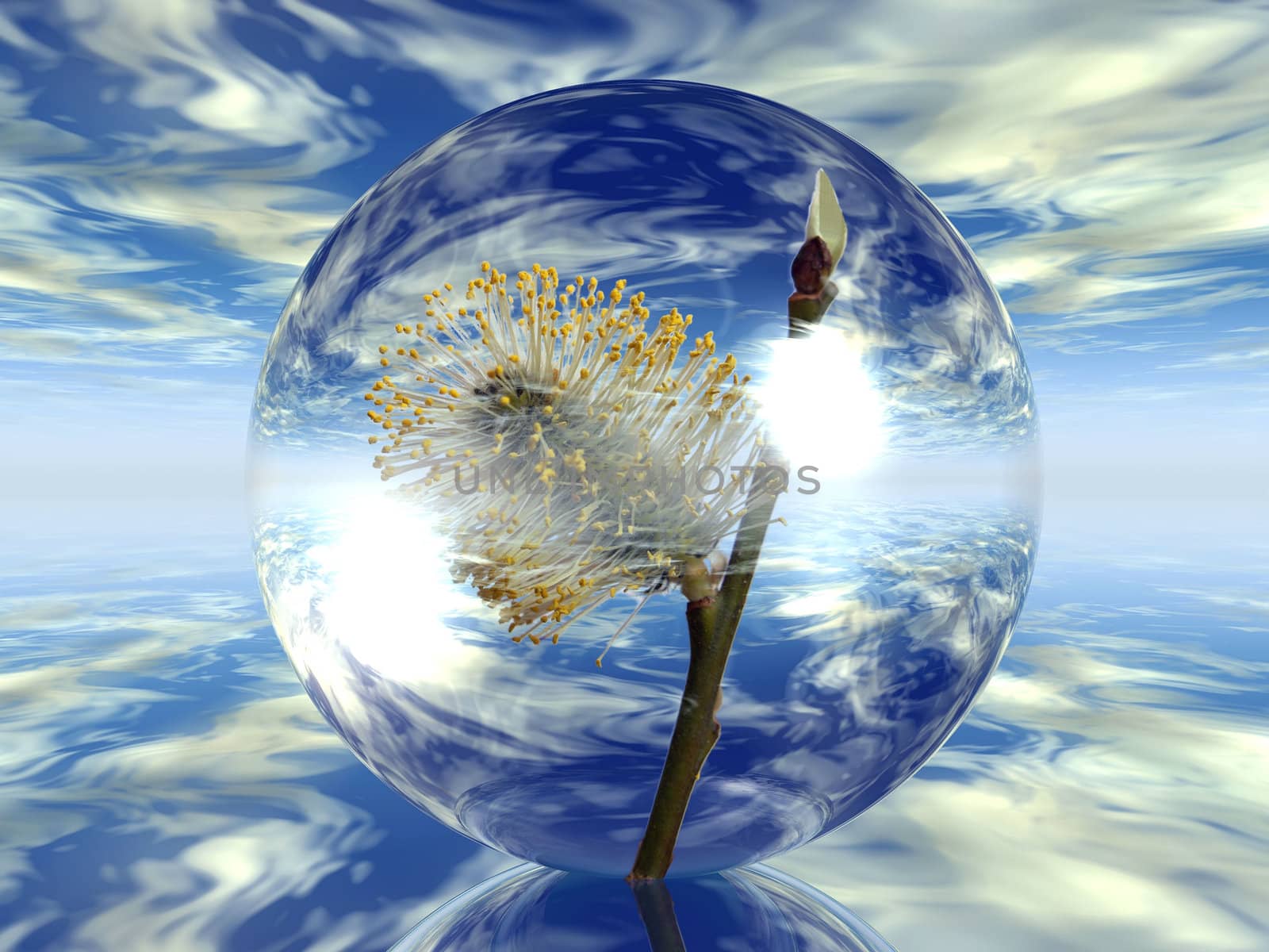 flower in a bubble