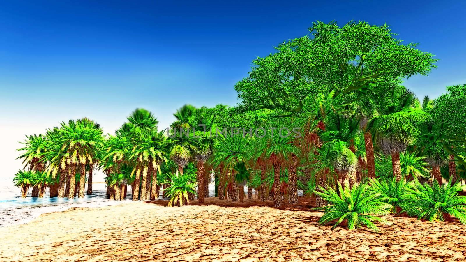 Beautiful natural background - oasis