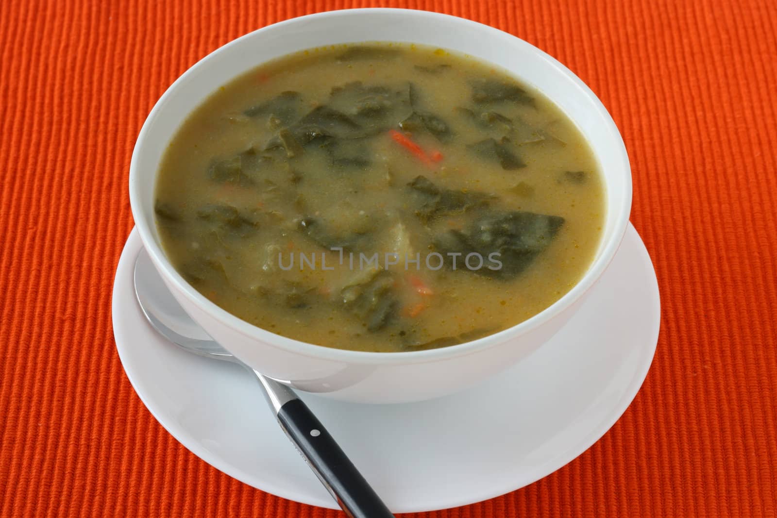 vegetable soup in bowl by nataliamylova