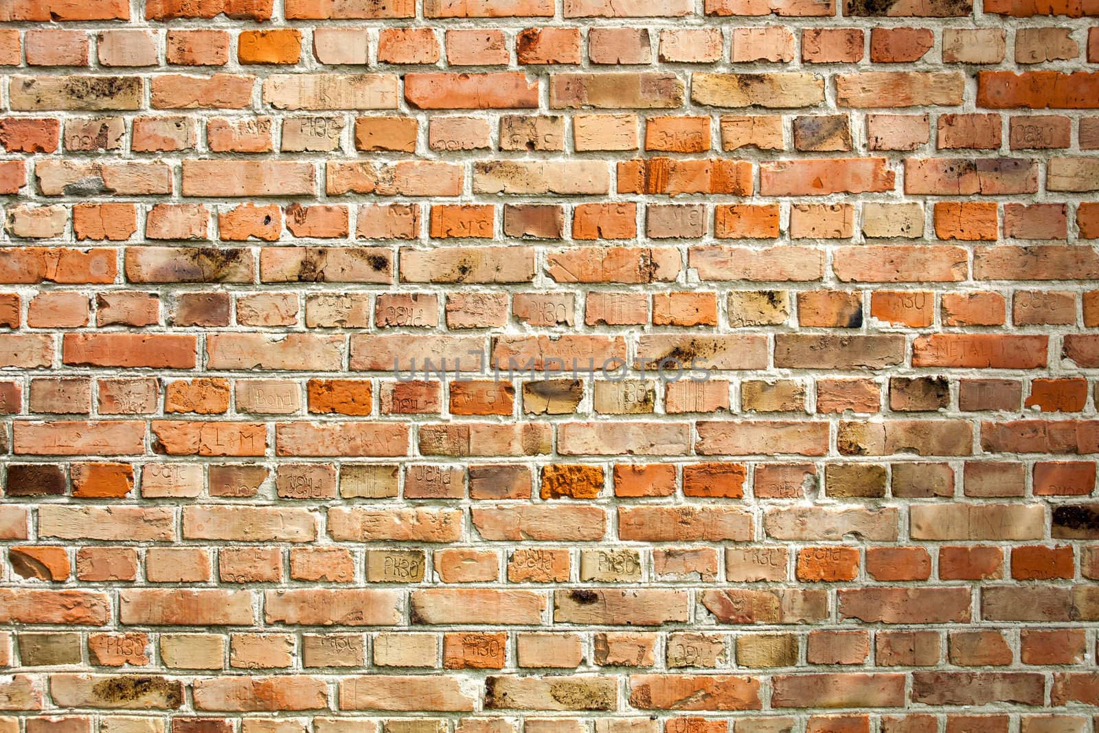 Old weathered red brick wall as background by sfinks