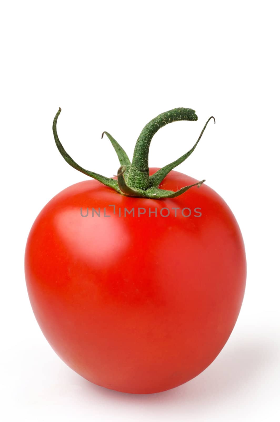 isolated tomato vertical with clipping path by Laborer