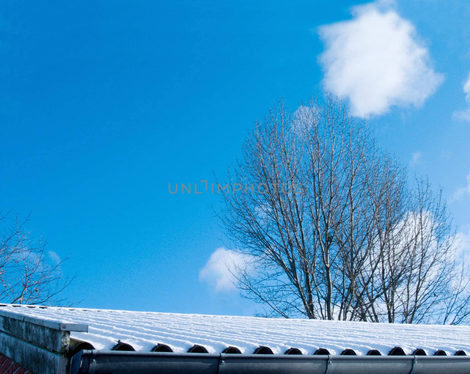 Winter time - Snow on rooftops wth copyspace