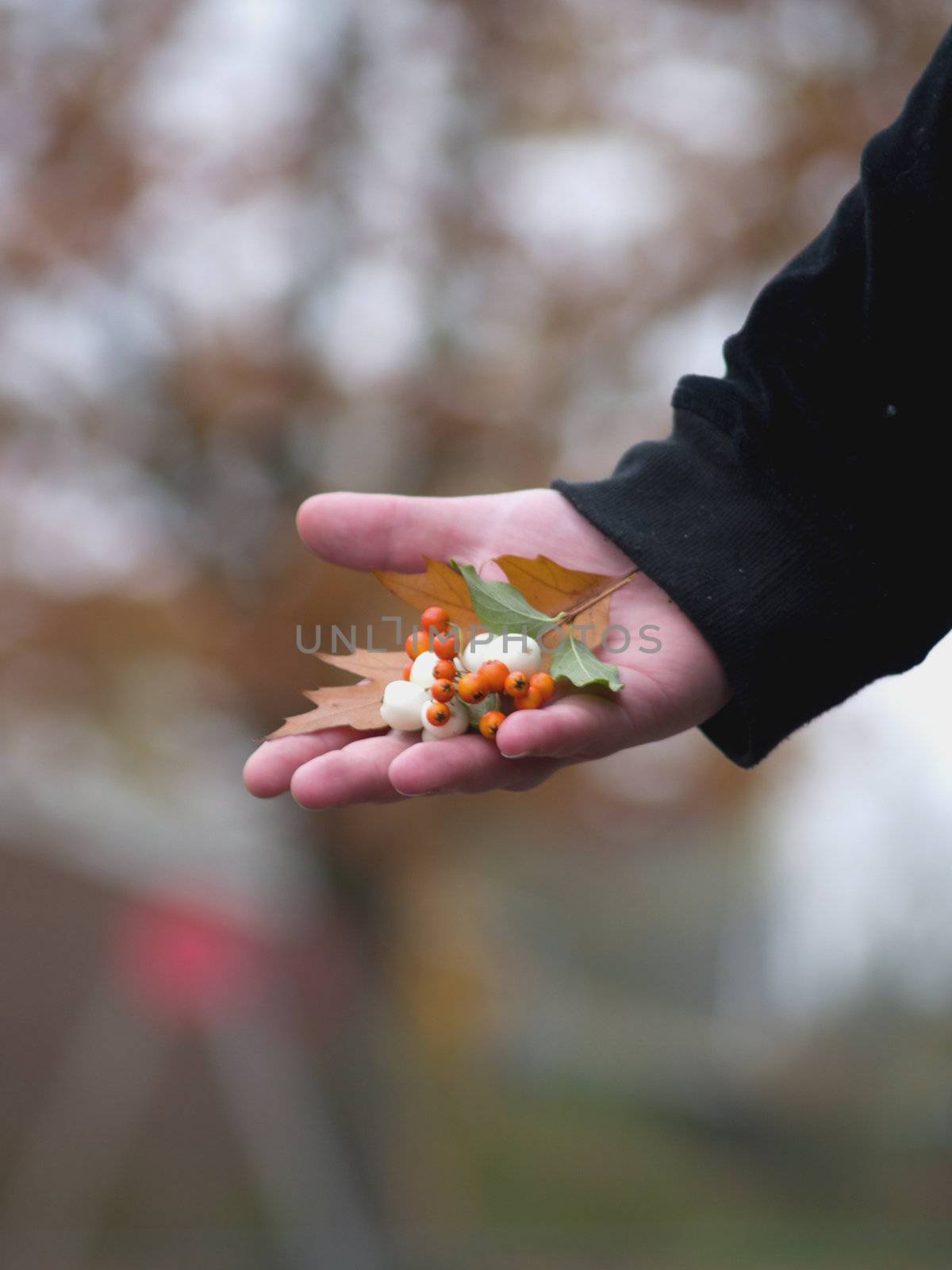 Human hand offering natural gift to you