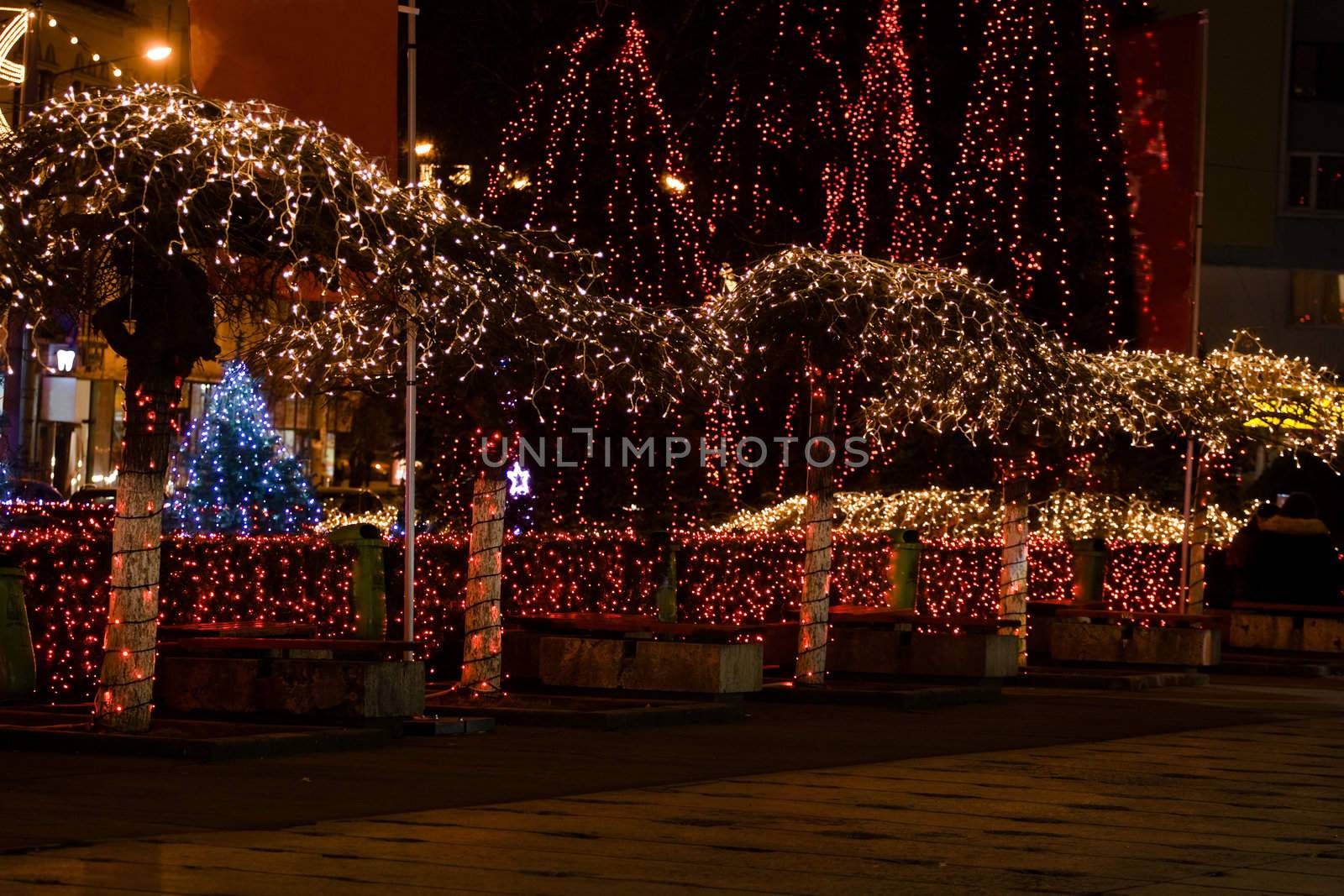 Trees in a plaza adorned with holiday lights