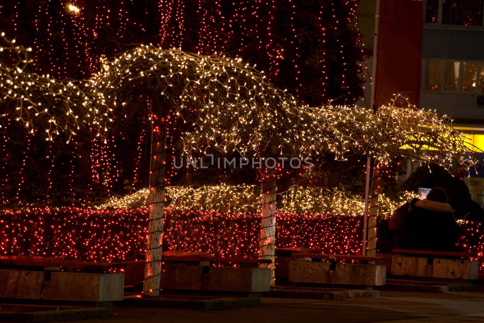 Trees in a plaza adorned with holiday lights