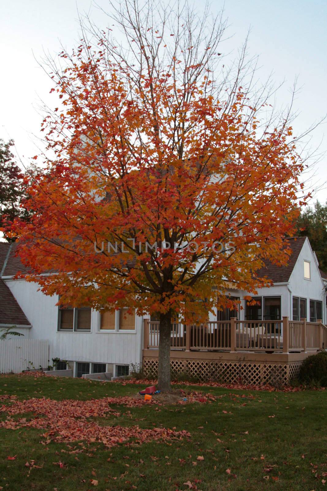 residential house in New York  area, fall season
