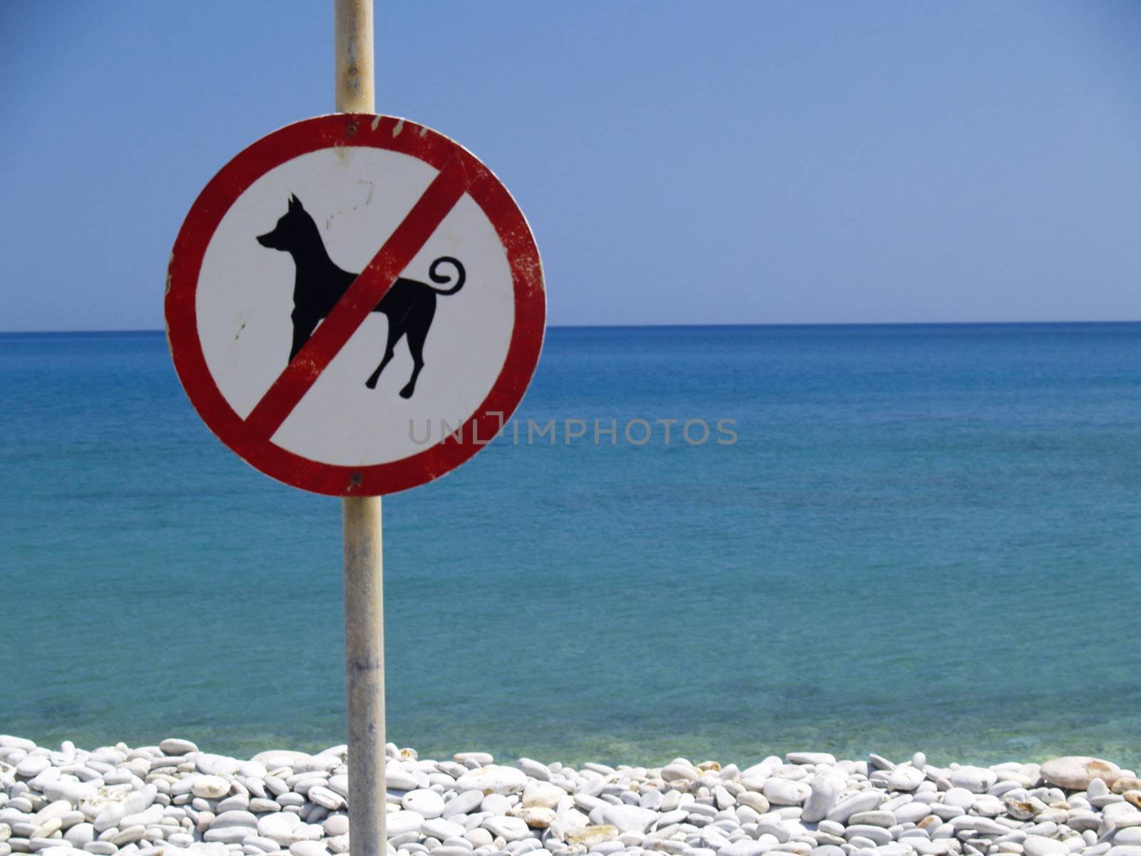 for dogs forbidden sign at a beach