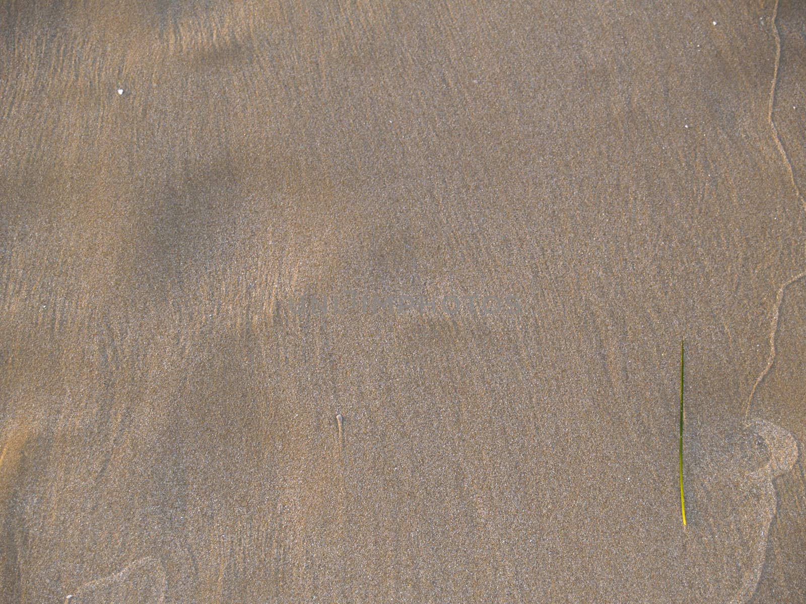 sand background by derausdo