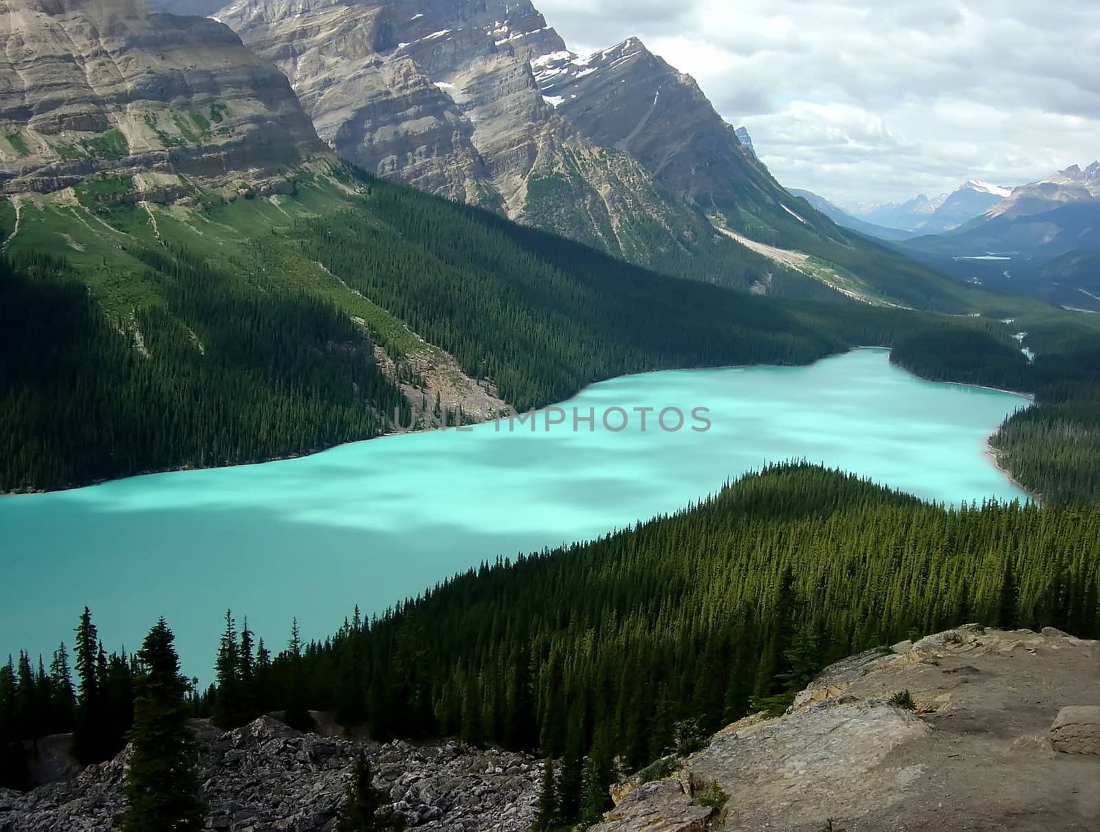 Beautiful Lake Peyto in Banff National Park in Alberta Canada. 