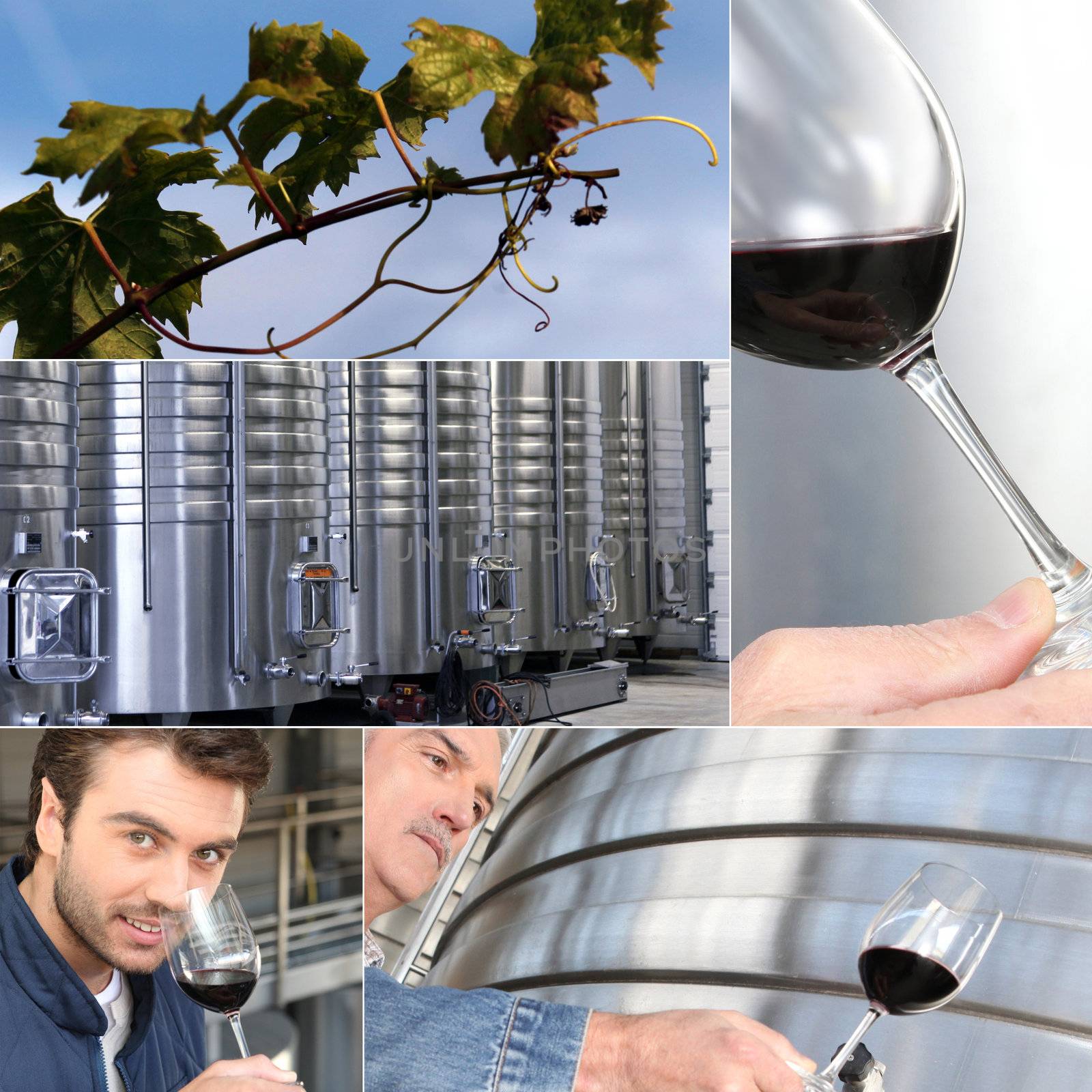 Images of the wine industry